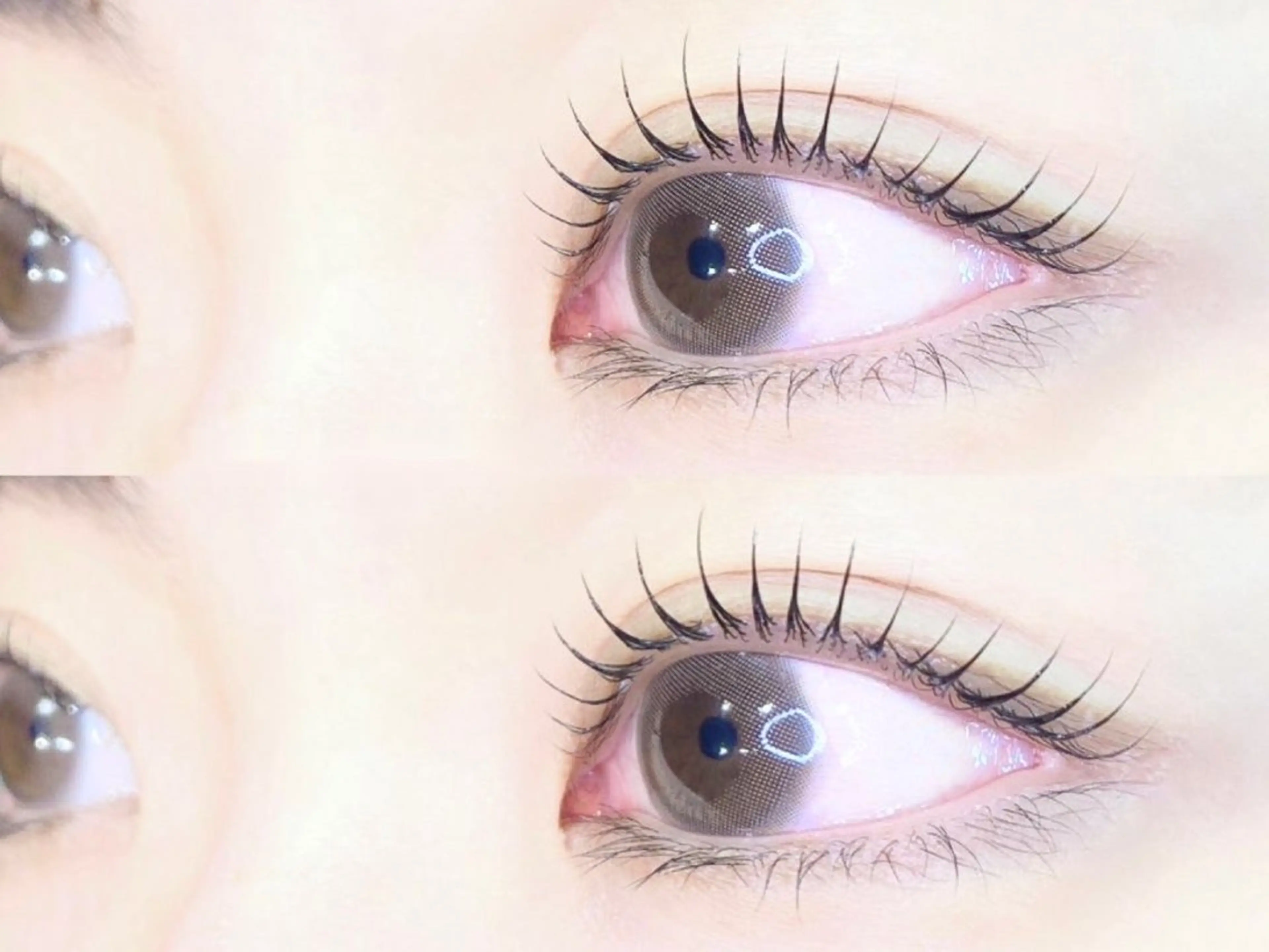 🌱ご新規様限定🌱オーダーメイドまつ毛パーマ,ラッシュリフト,パリジェンヌ（上のみ）の写真