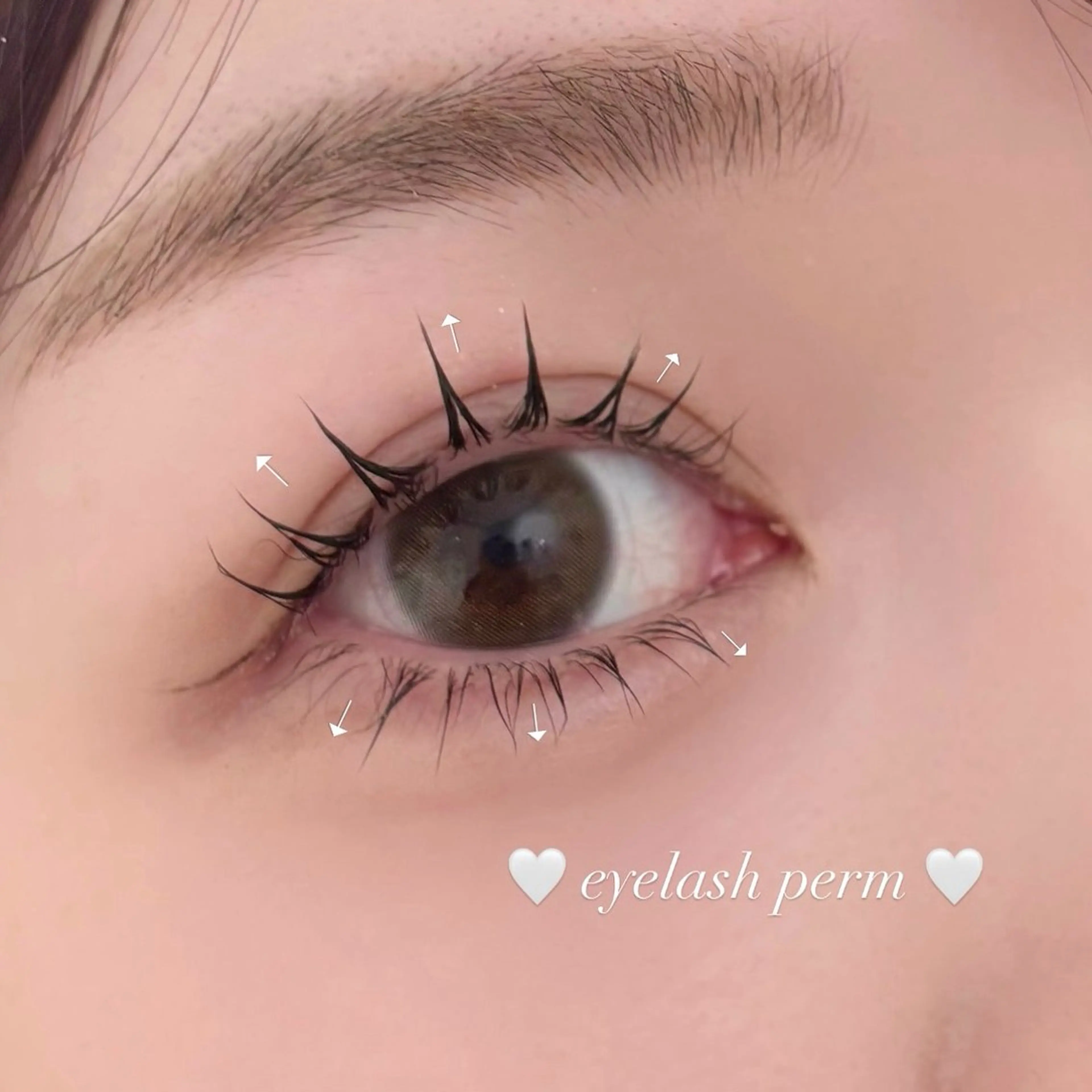 マツエク・マツパ まつげパーマ マツパ BIANCA ໒꒱ chihiroのマツエク・マツパデザイン