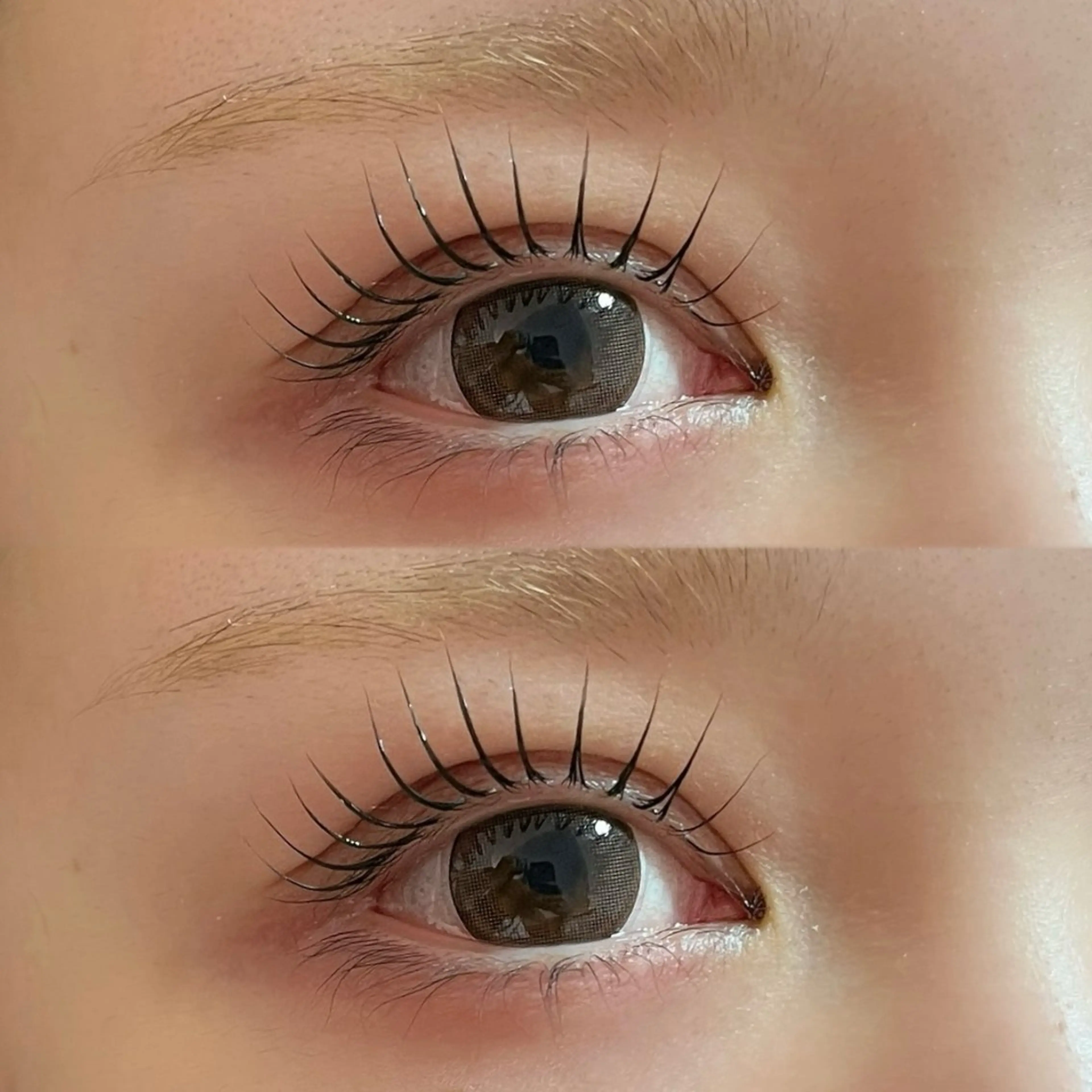 マツエク・マツパ マツパ RIFARE代々木 北井のマツエク・マツパデザイン