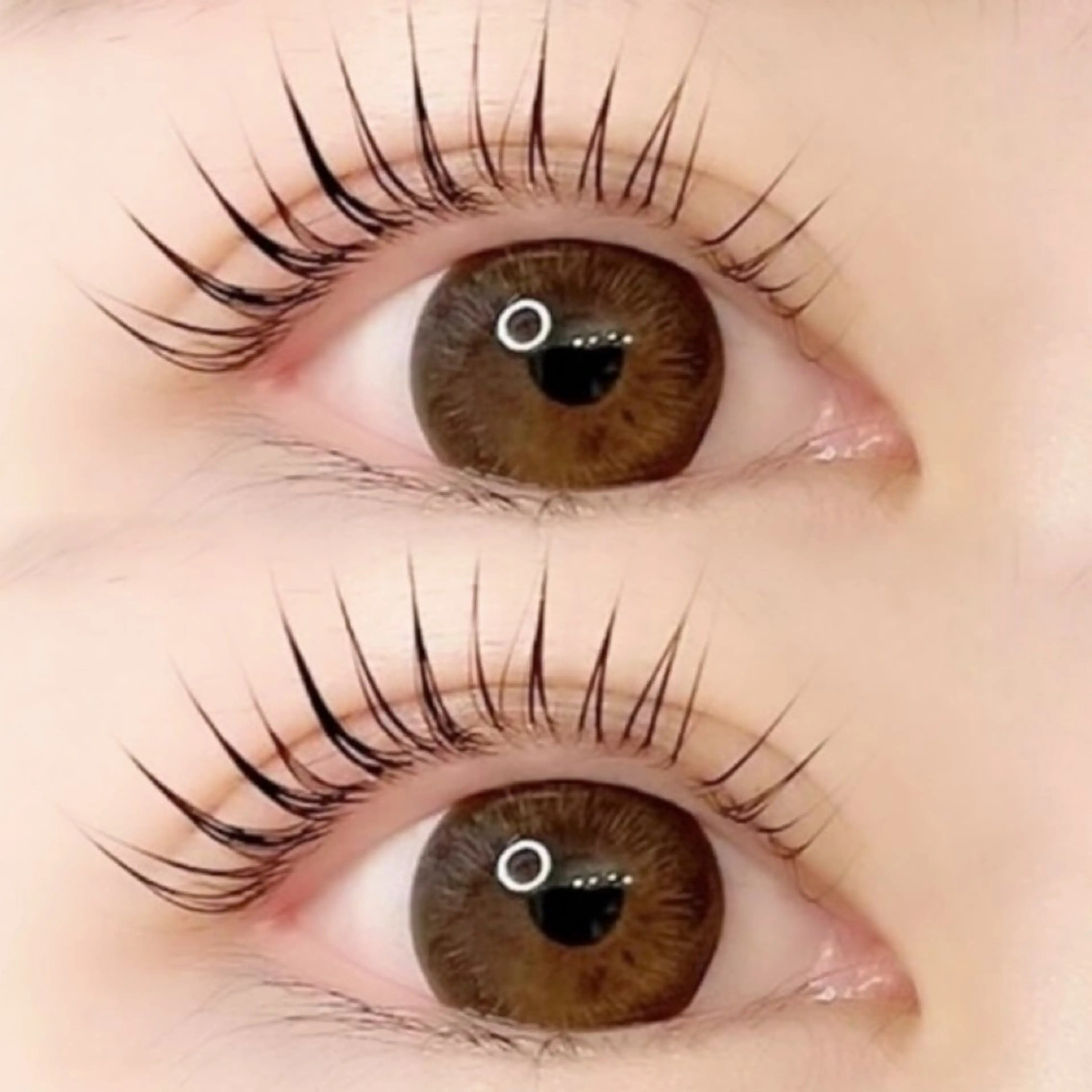 【1月限定🌟】パリジェンヌ♪   根元から80℃しっかり立ち上げます🙆🏻‍♀️💞の写真