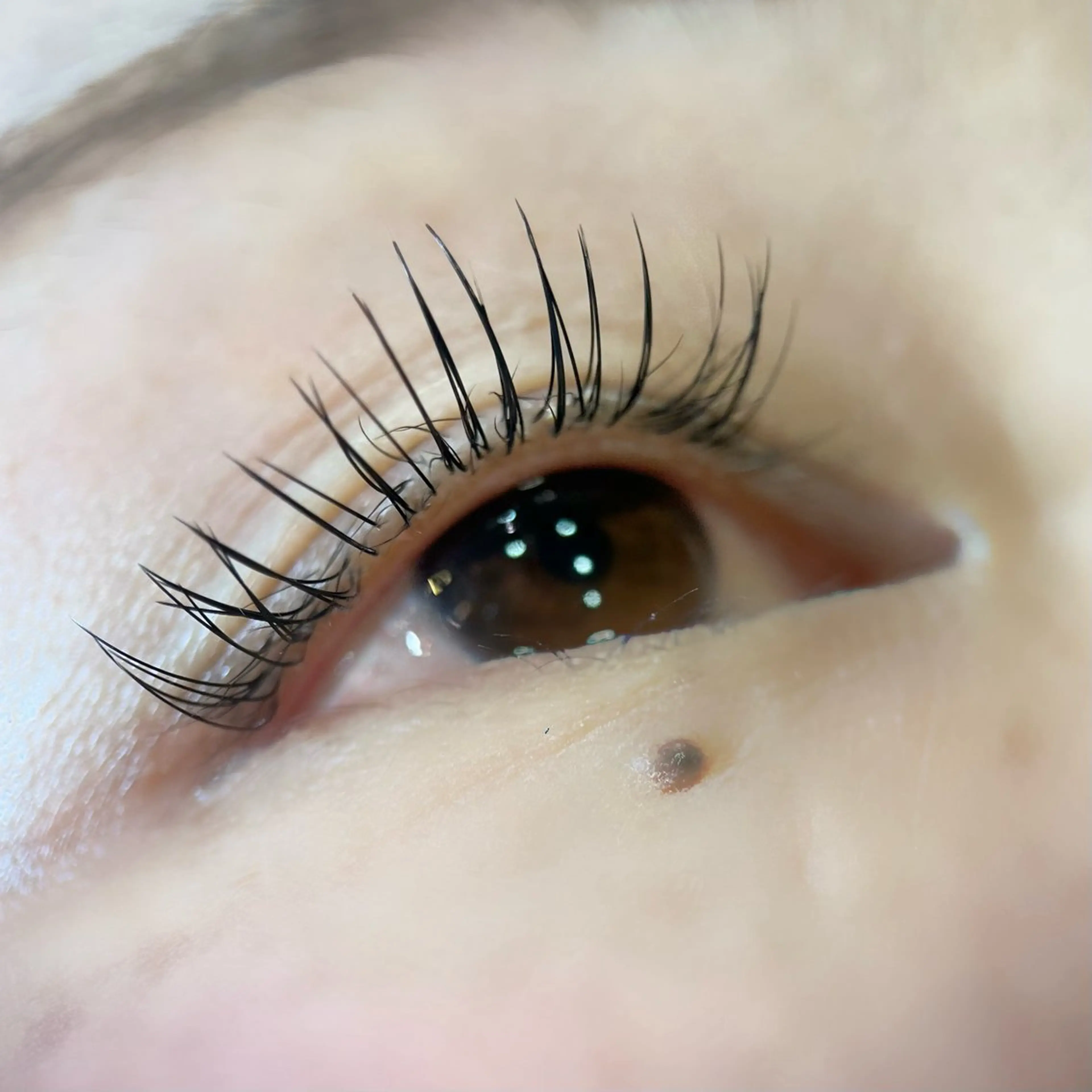 マツエク・マツパ フラットラッシュ マツエク eyeroom en.のマツエク・マツパデザイン