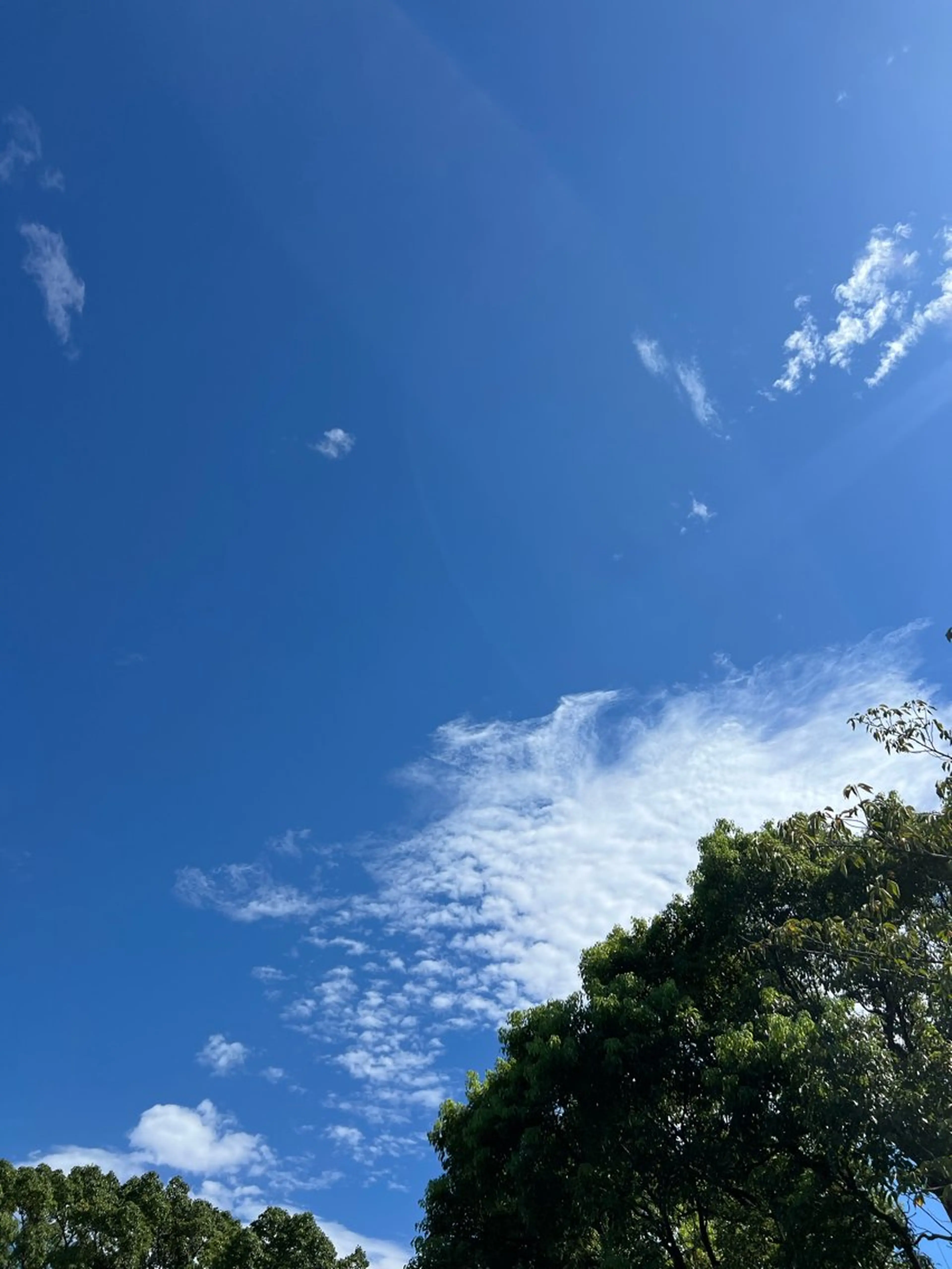 🅖🅤🅩🅔🅛 salonのエステ・リラクイメージ