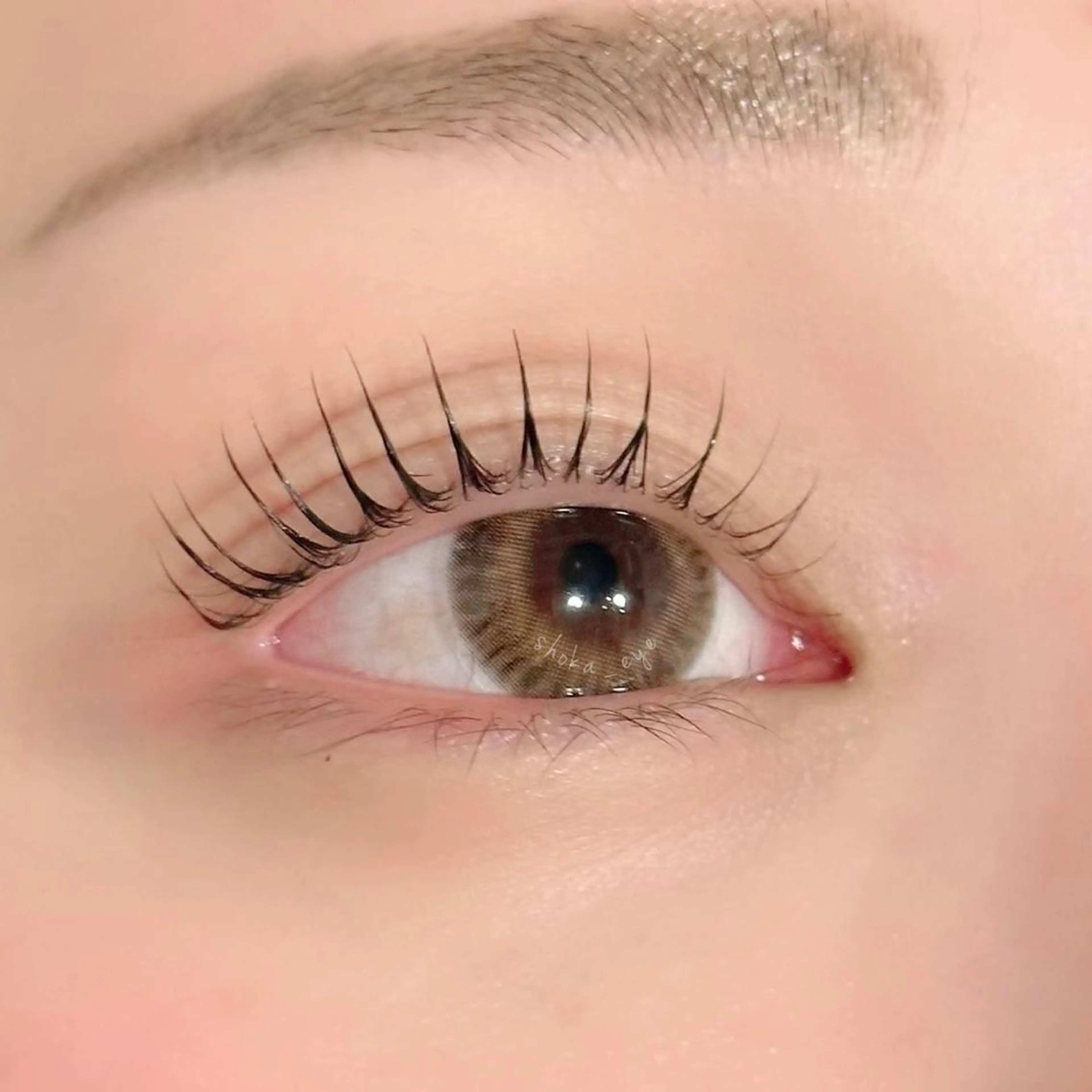 💖パリジェンヌラッシュリフト💖コーティング、高濃度ケラチンTR付💖の写真