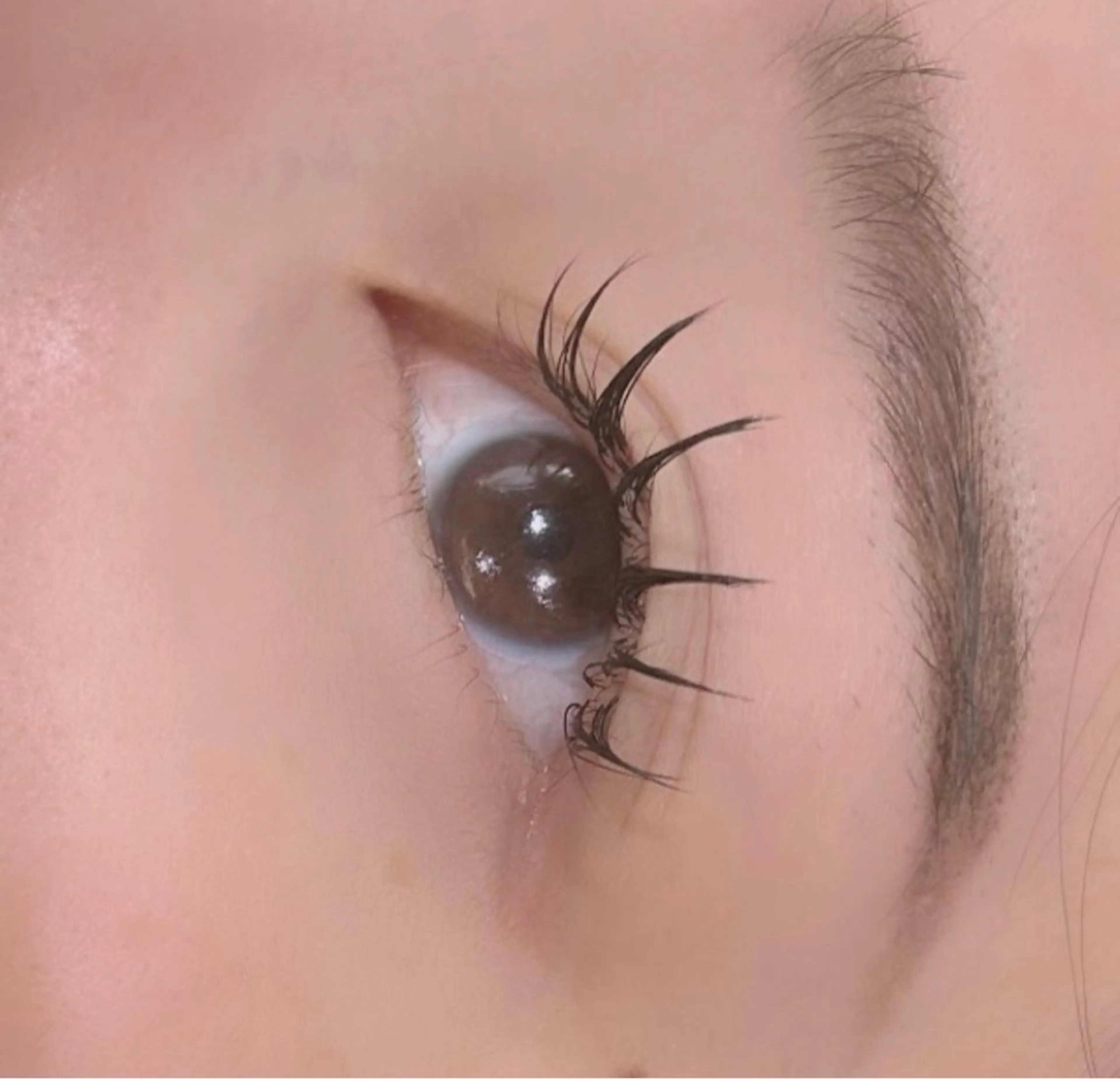 マツエク・マツパ マツエク hair&eye🎀 /momoKaのマツエク・マツパデザイン