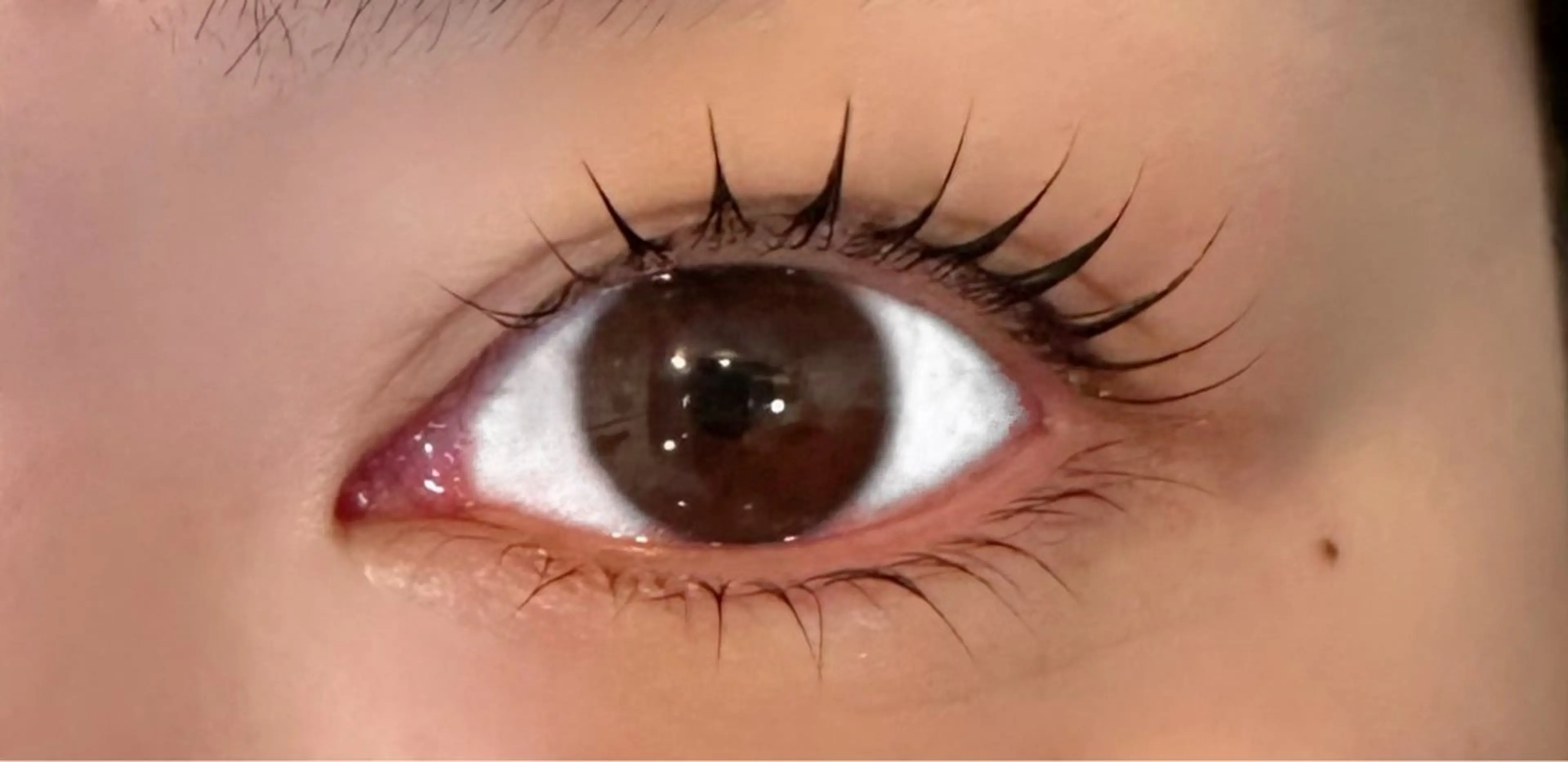 マツエク・マツパ マツパ 杉浦 千夏のマツエク・マツパデザイン