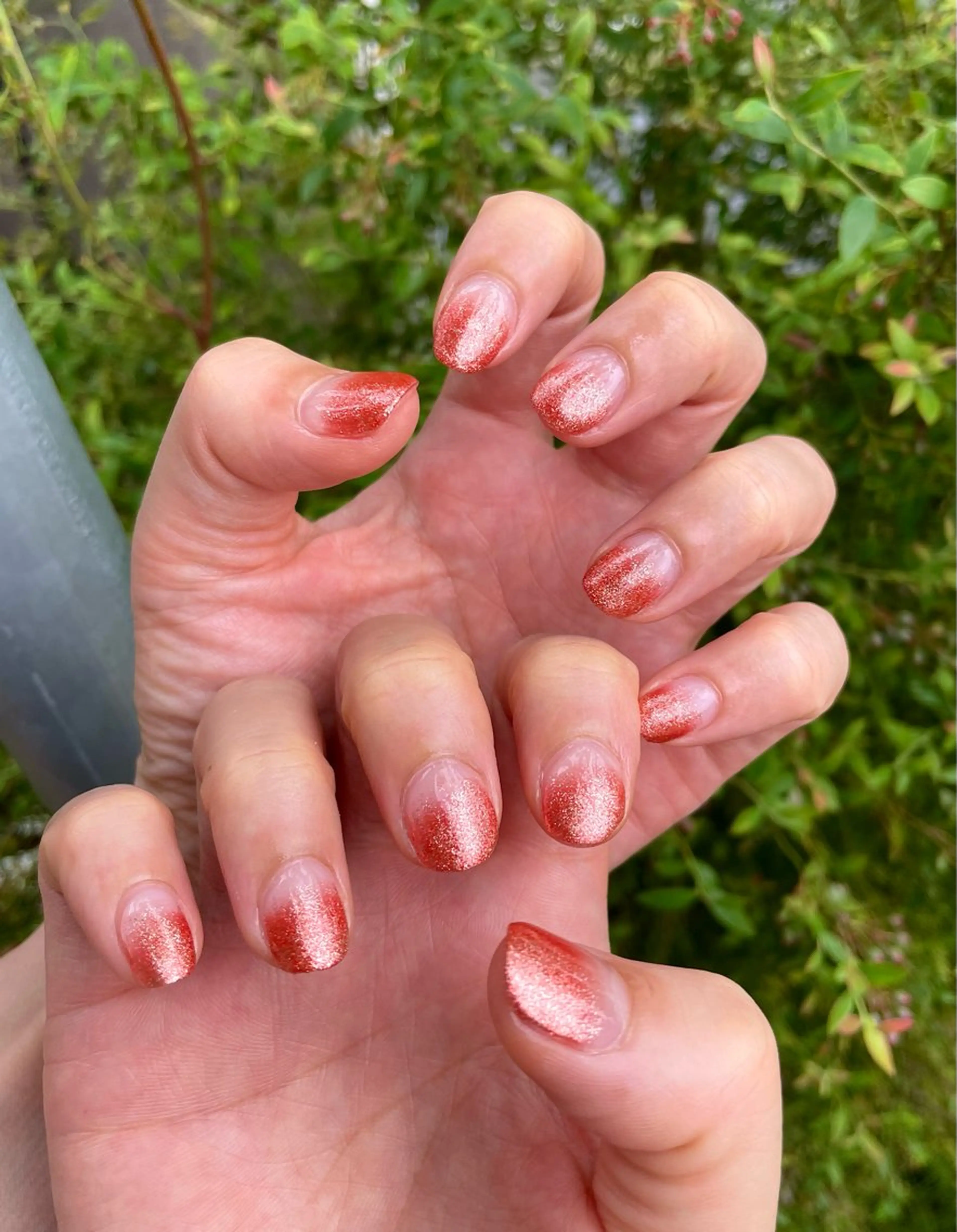 ネイル グラデーション petit 薄窪のネイルデザイン