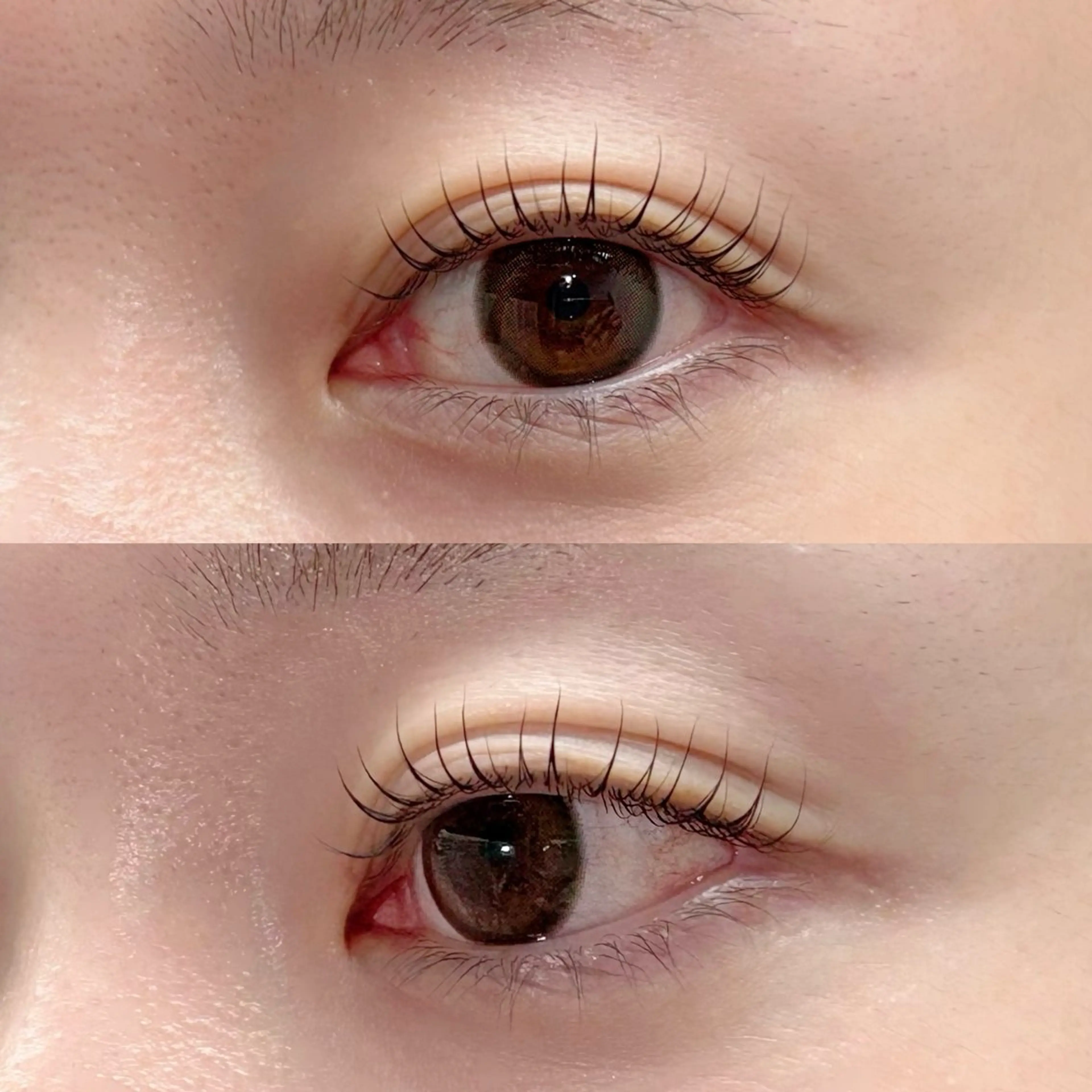 ラッシュリフト上＆２stepトリートメント🦋【アイシャンプー、アイパッチ付き、コーティング仕上げ】   (担当ゆうり)の写真