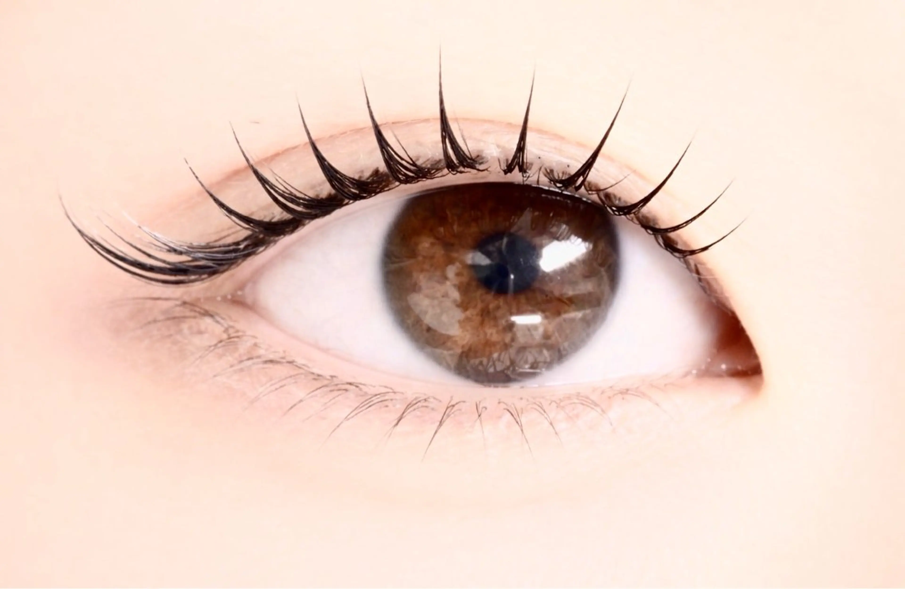 マツエク・マツパ haruka 【ever天神店】のマツエク・マツパデザイン