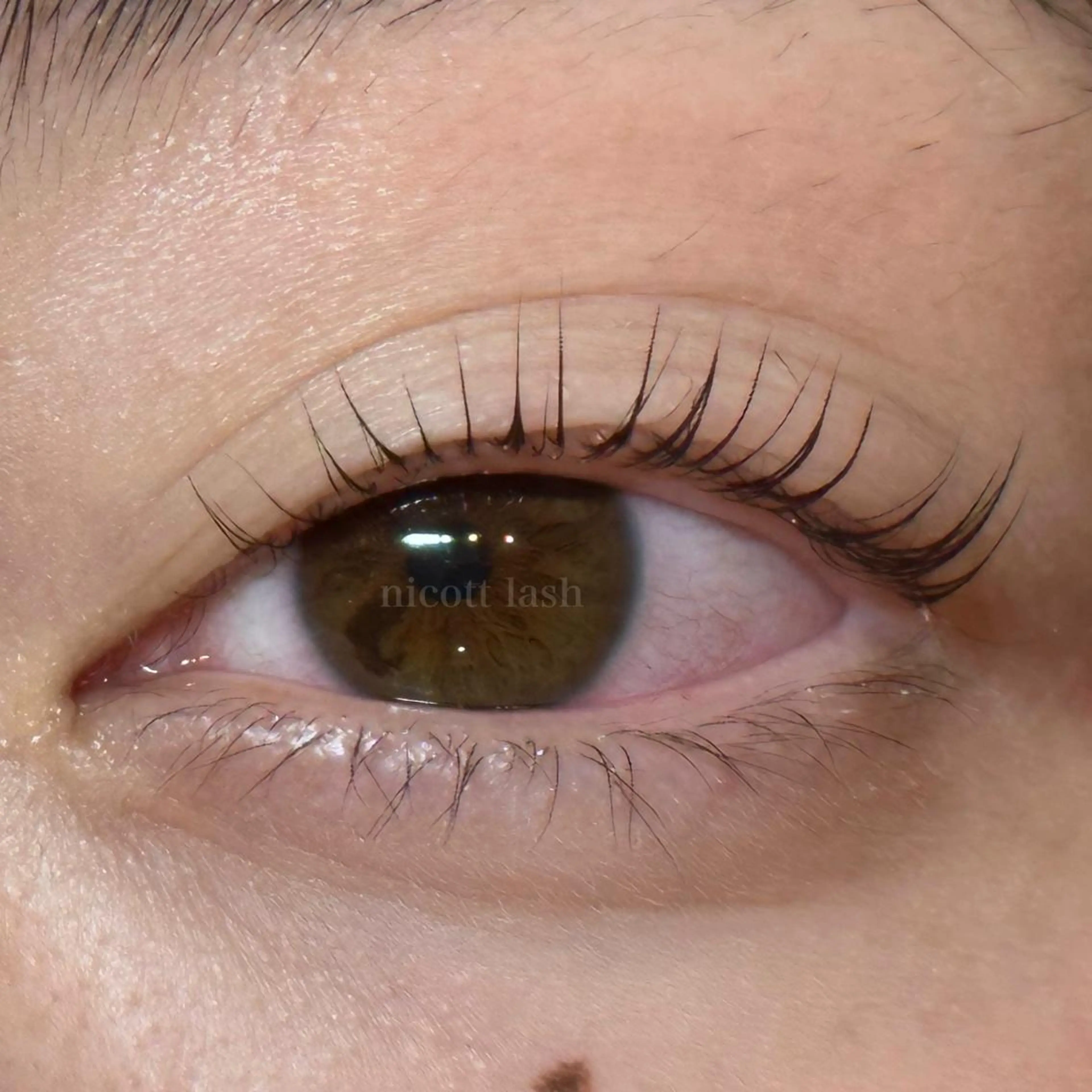 マツエク・マツパ nicott 篠田のマツエク・マツパデザイン