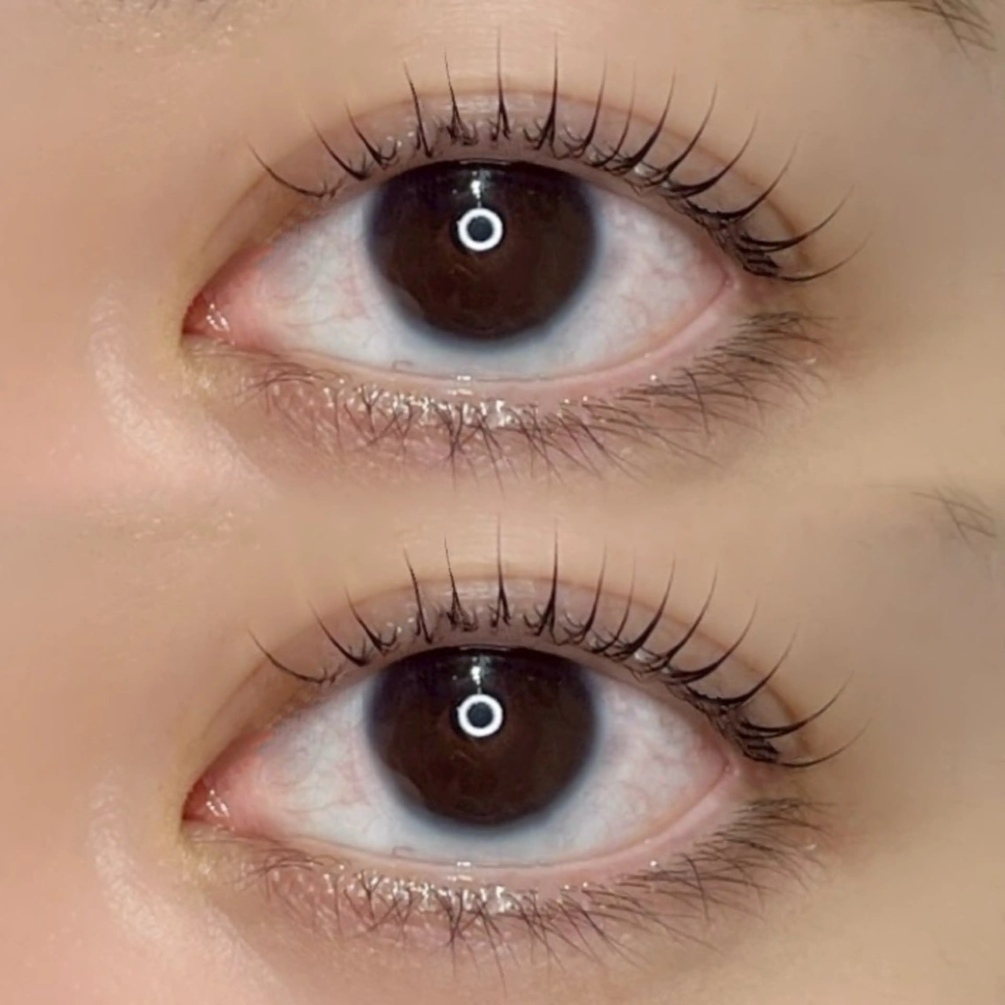 マツエク・マツパ モデル募集 LunaBrowのマツエク・マツパデザイン