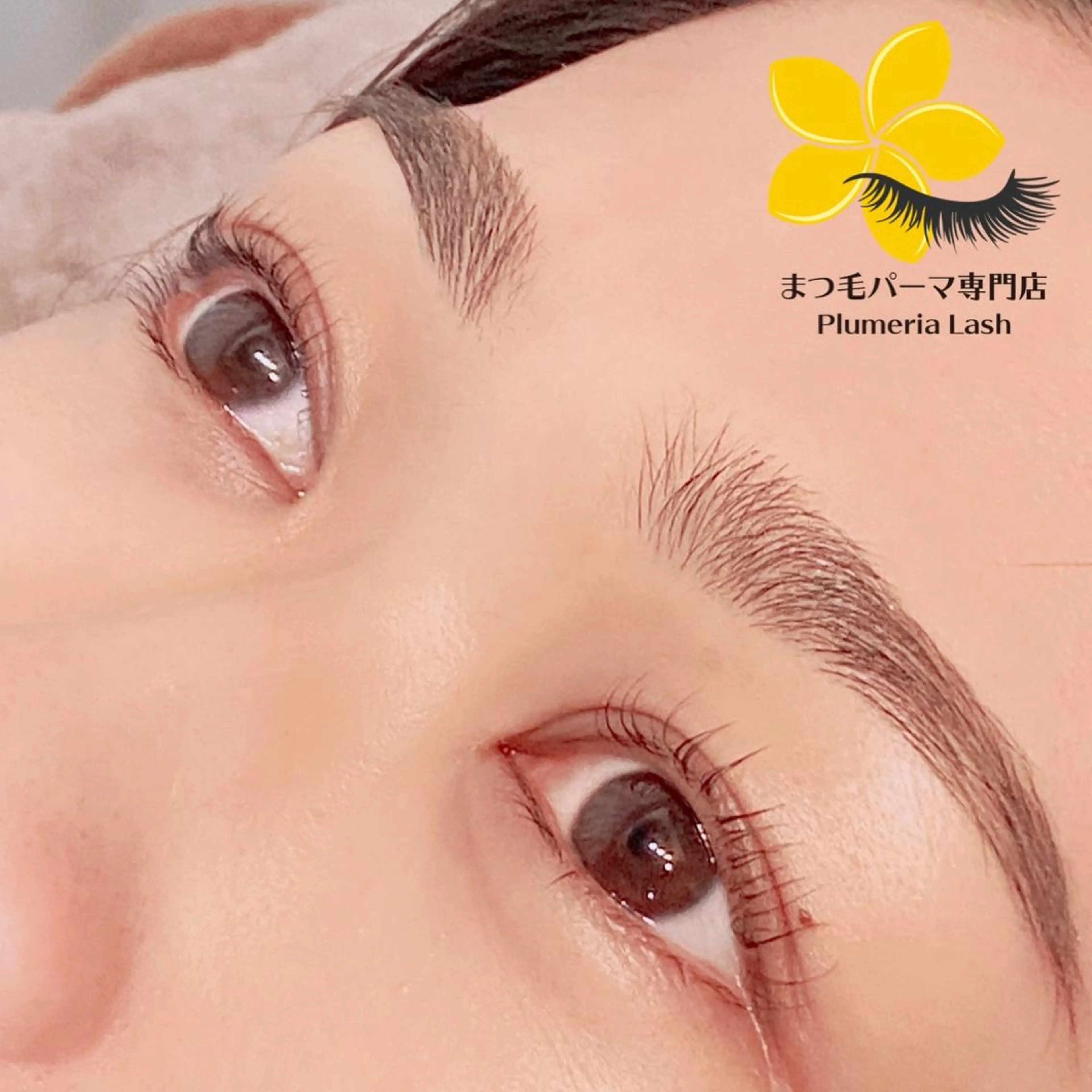 【新規限定】高濃度保湿＋保護トリートメント付きまつげパーマの写真