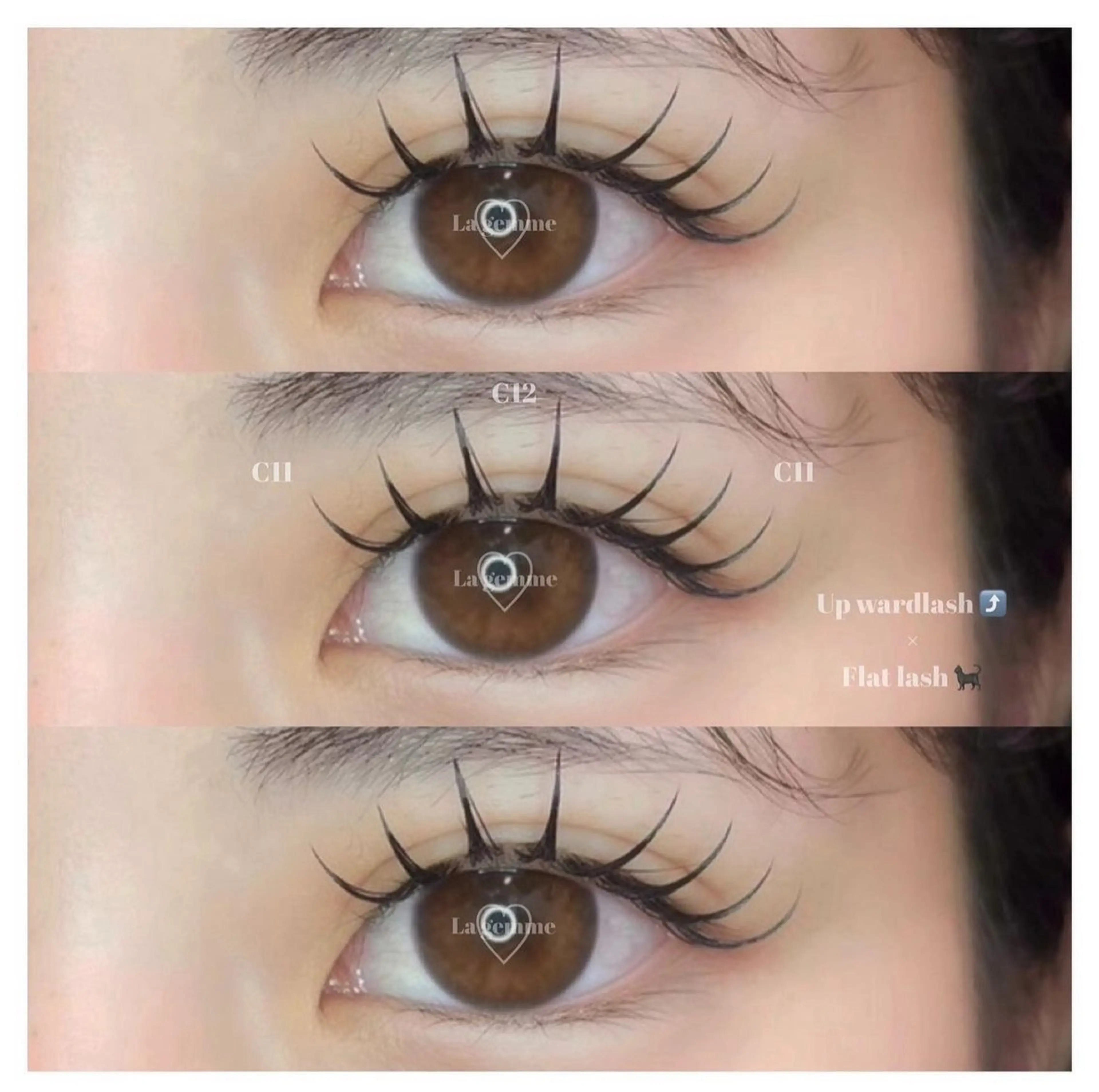 🍓アップワードラッシュ120本の写真