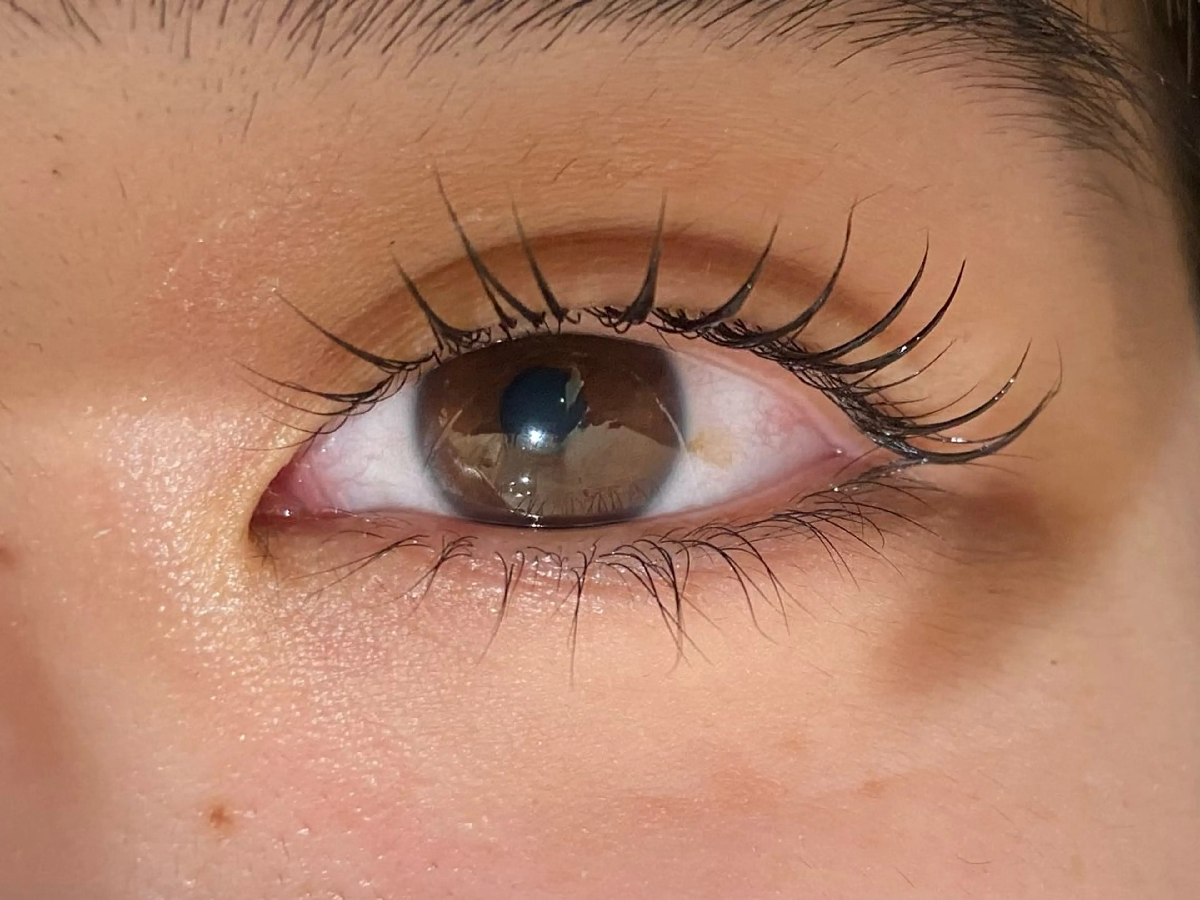 マツエク・マツパ まつげパーマ カワイイ保証🤍🪄 yuiの眉毛・アイブロウイメージ