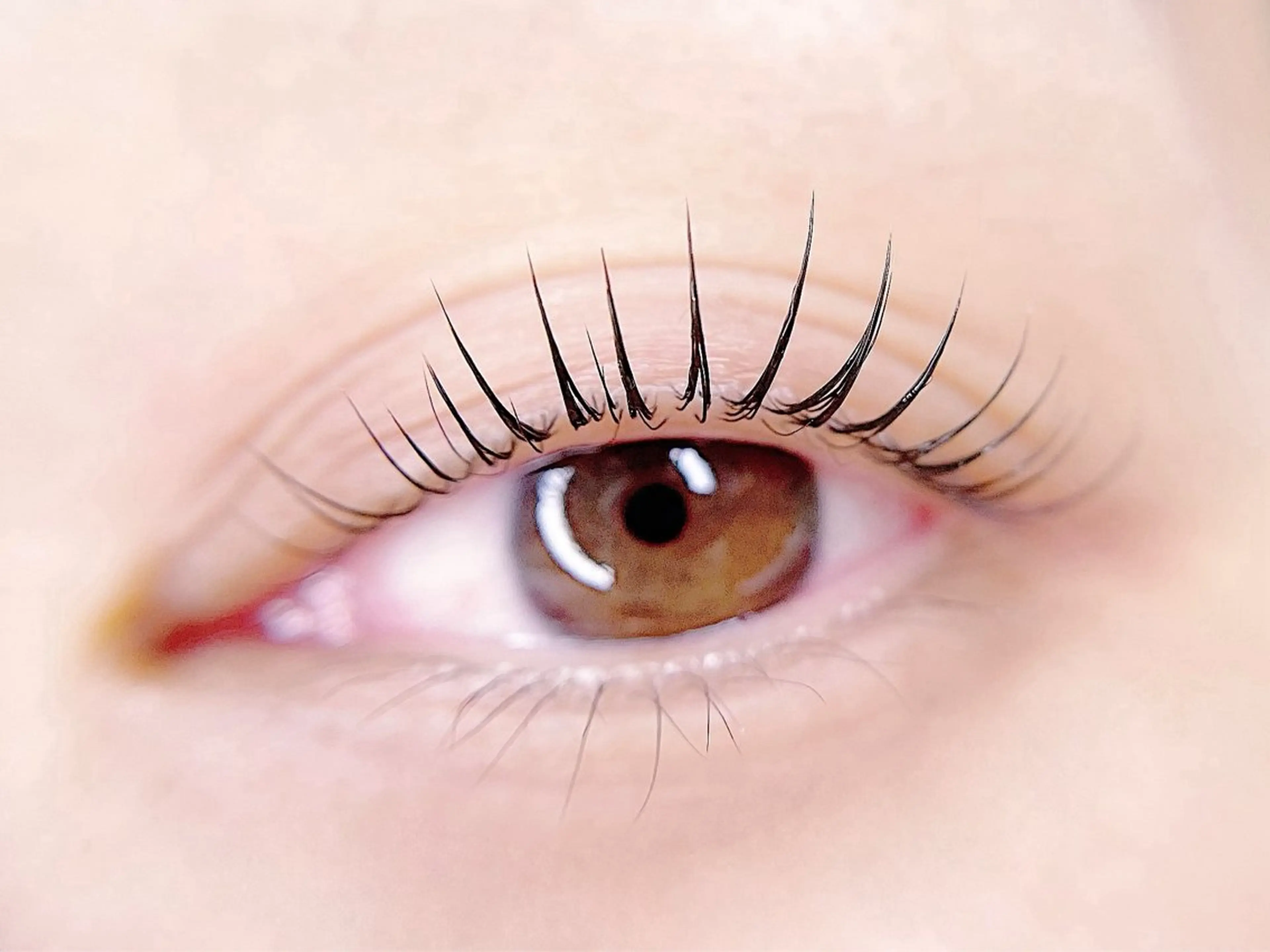 マツエク・マツパ マツパ eclat ANJUの眉毛・アイブロウイメージ