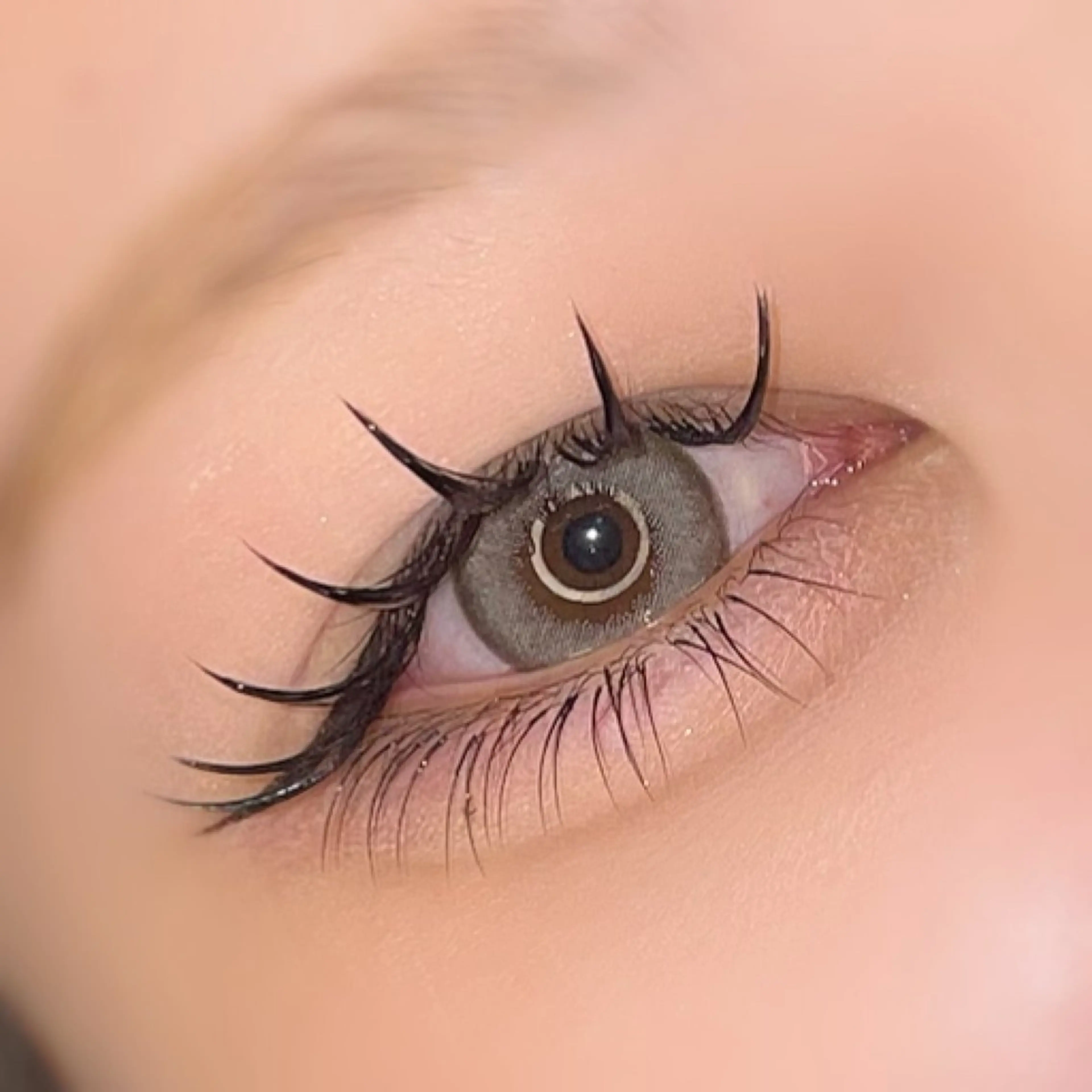 当店初利用の方限定♡3DLash240本(80束)×LED♡の写真