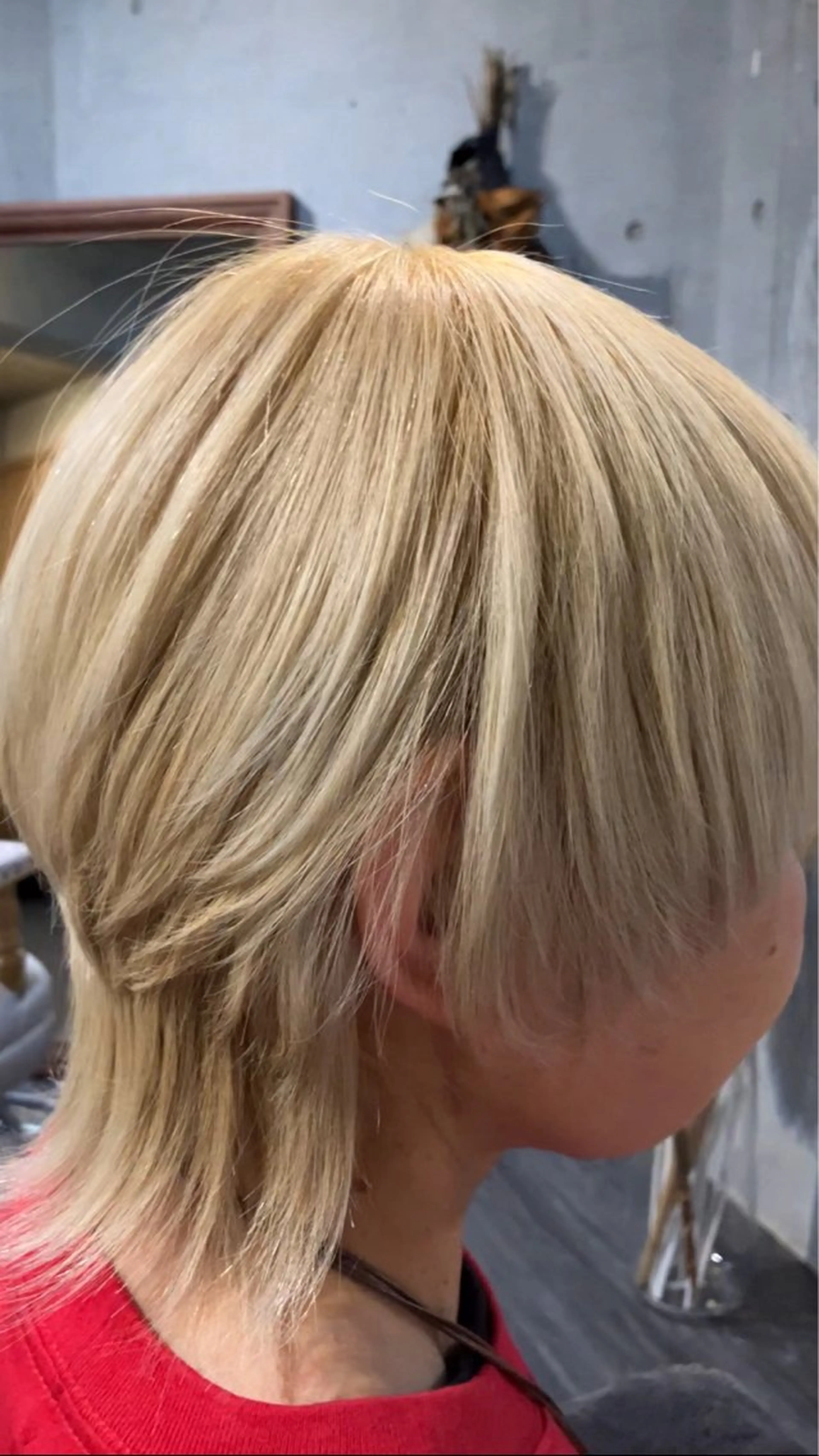 ショート カラー vi camino ミヤデラのヘアスタイル