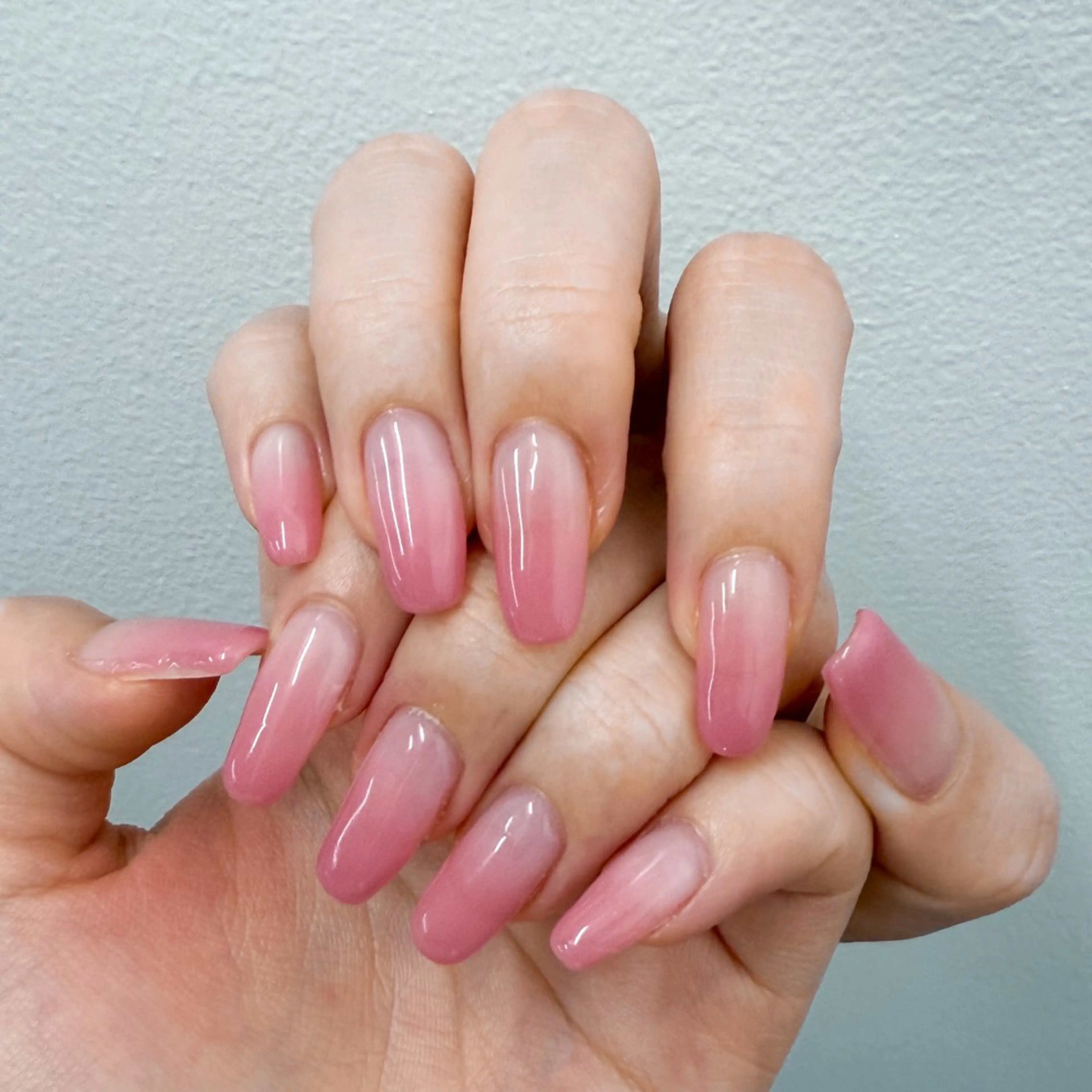 オフ無しカラーグラデーションの写真