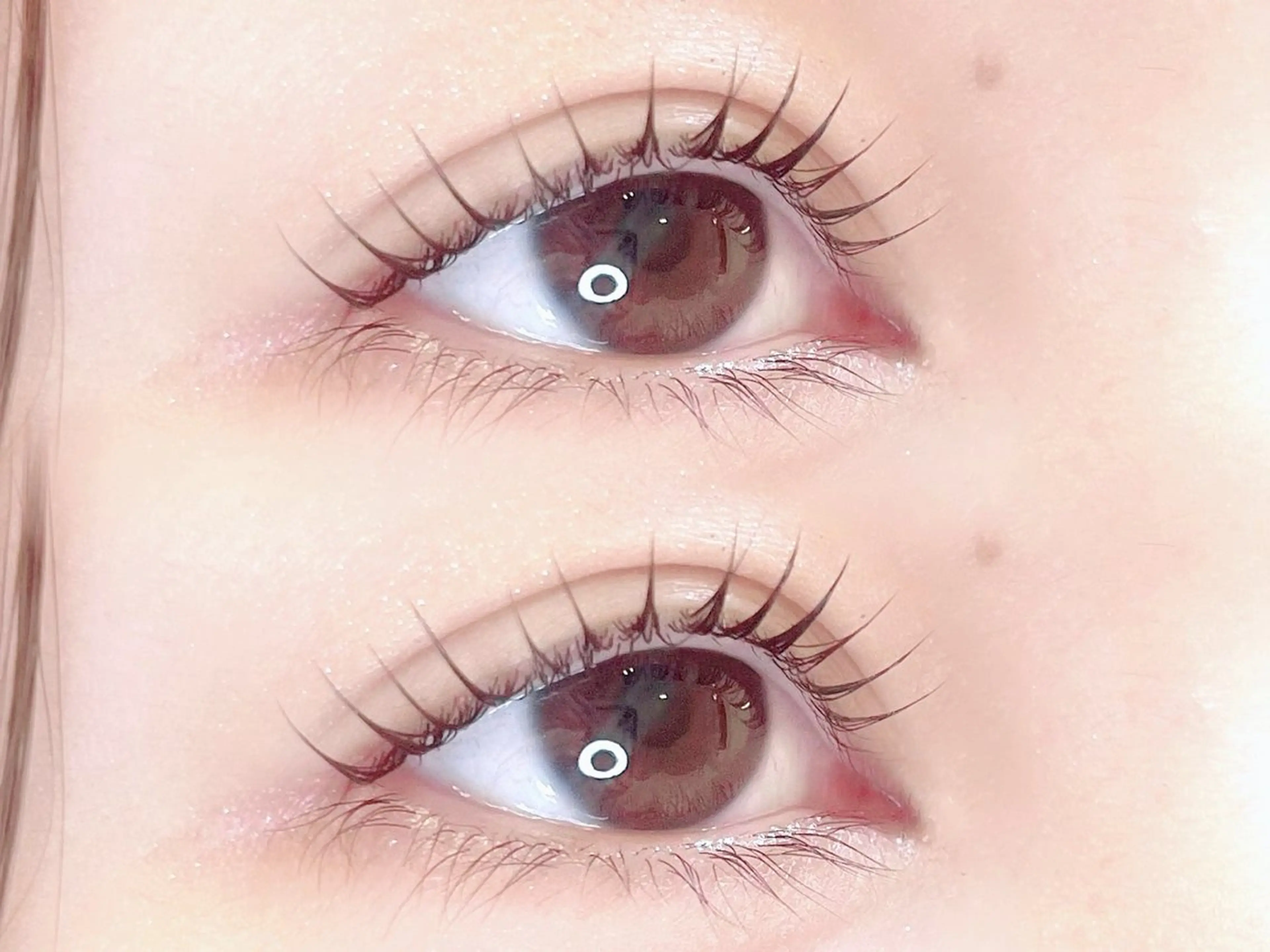 【当日予約限定】ラッシュリフトorパリジェンヌ(似合わせまつげパーマ)の写真