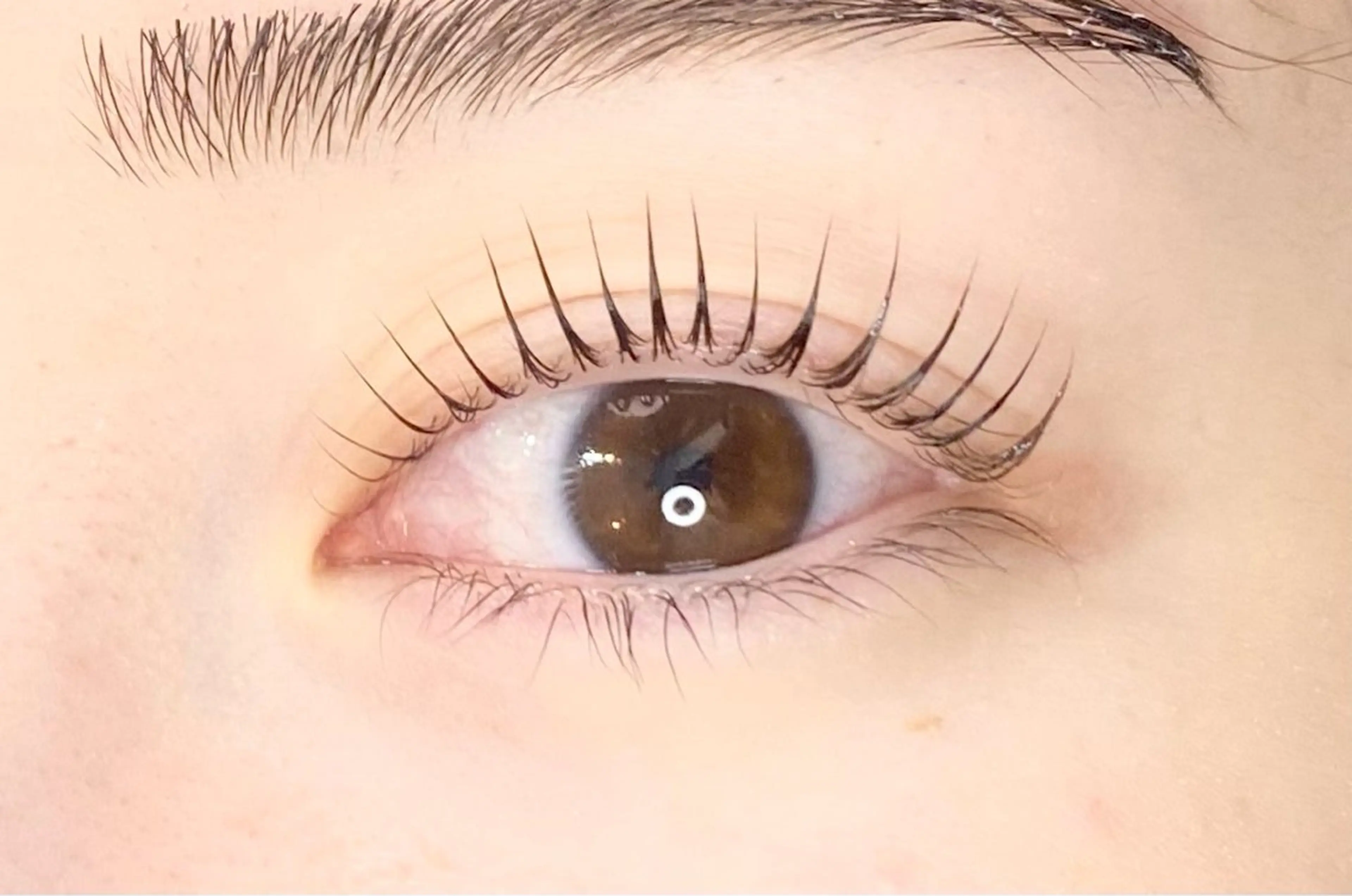 マツエク・マツパ マツパ Chisato🤍池 袋/マツパ/マツエクのマツエク・マツパデザイン