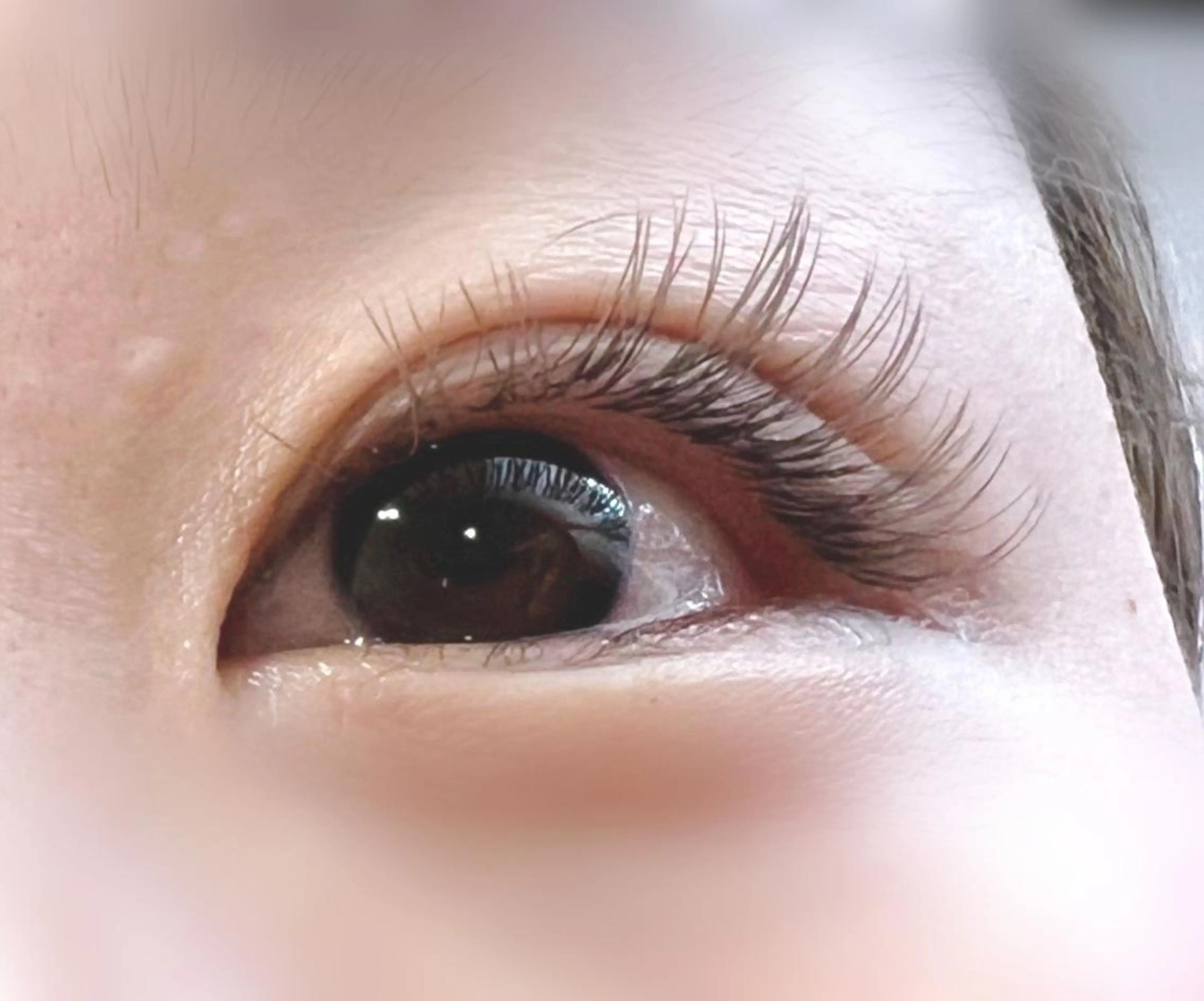 マツエク・マツパ ネイル& 脱毛サロン　Lのマツエク・マツパデザイン