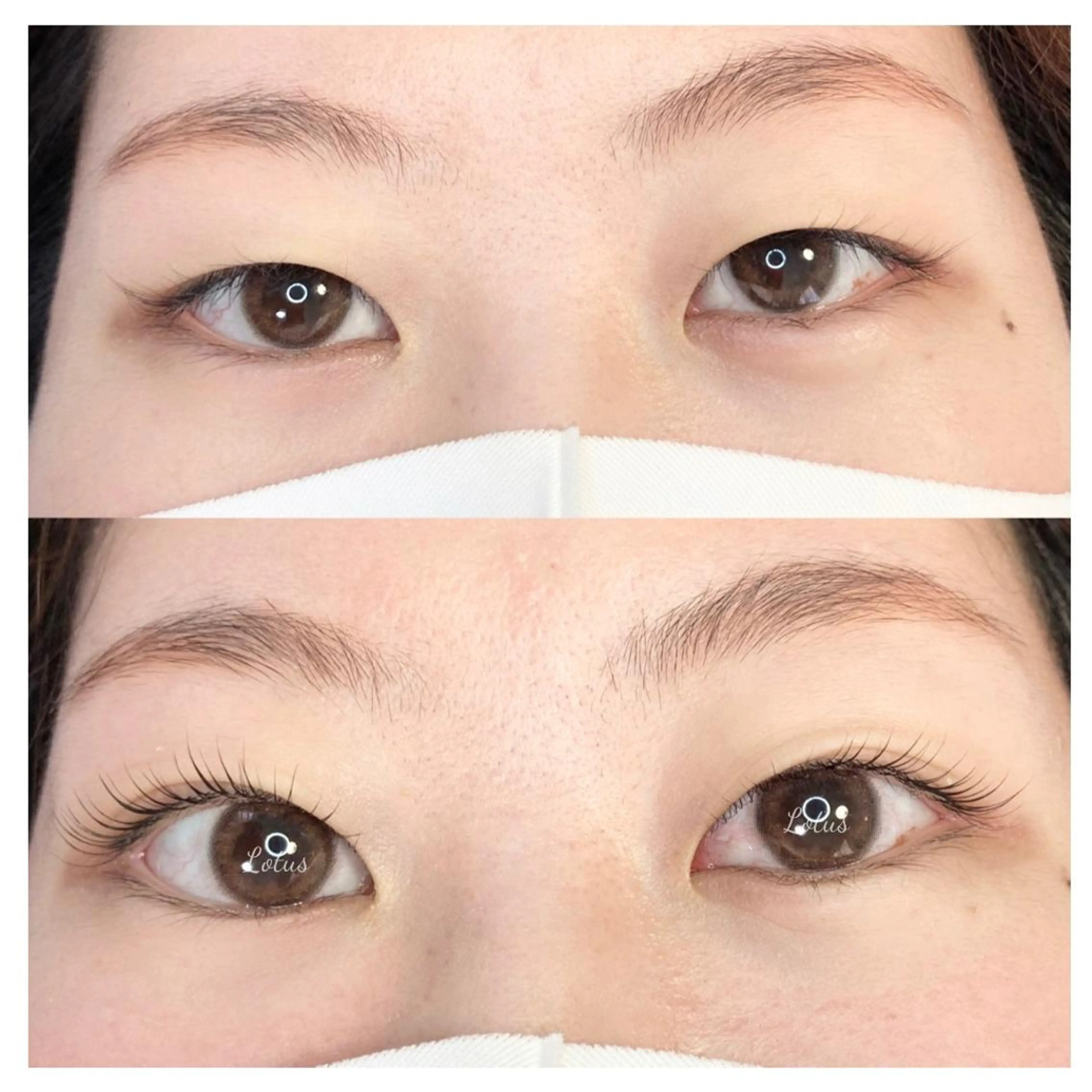 マツエク・マツパ 一重×まつ毛パーマ マツパ Lotus所属・Lotus ロータスのマツエク・マツパデザイン