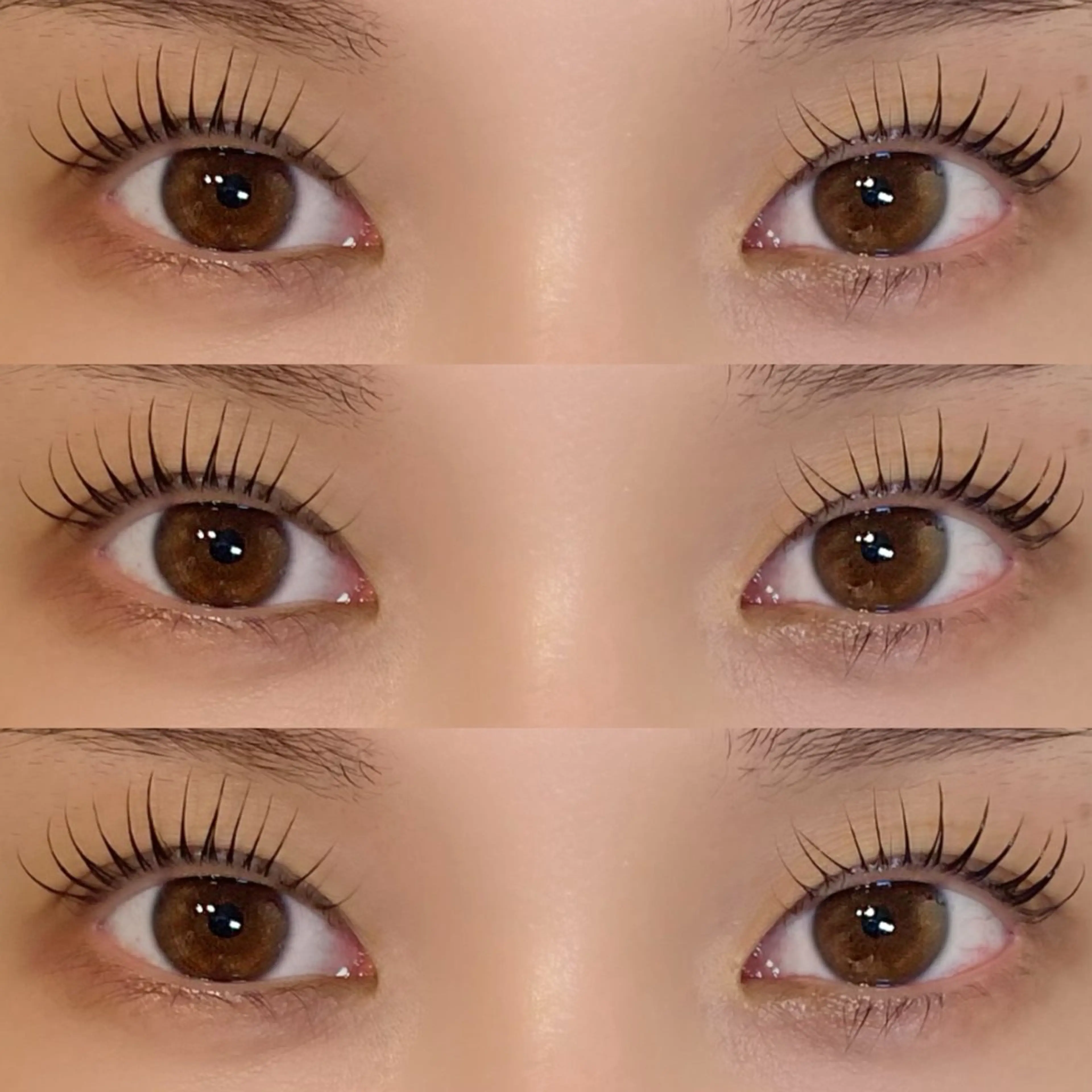 🤍【minimo限定】🤍似合わせラッシュリフト(予約リクエストして頂くとご案内できる事がございます♥)の写真