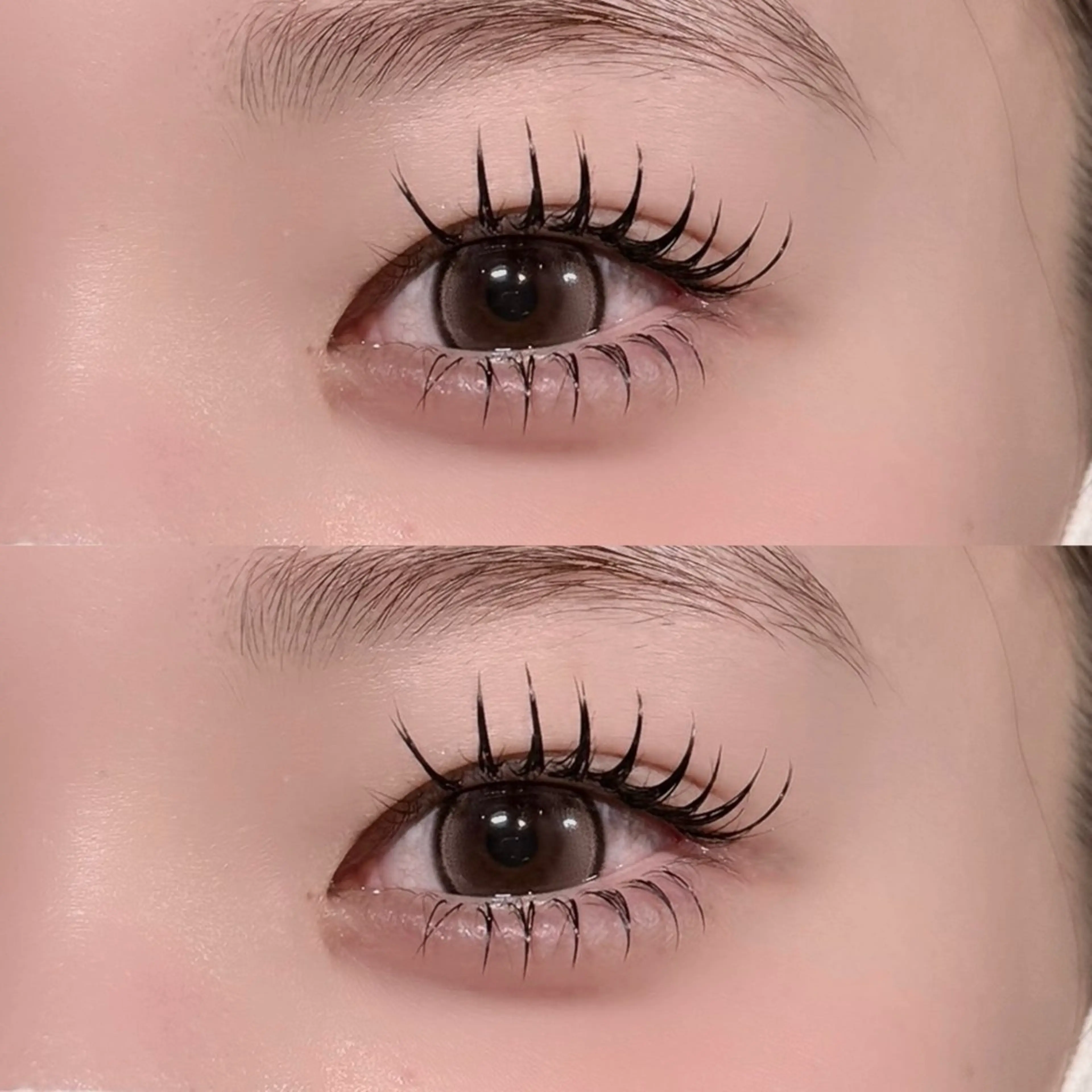 バインドロック80束➕下エク🌟の写真