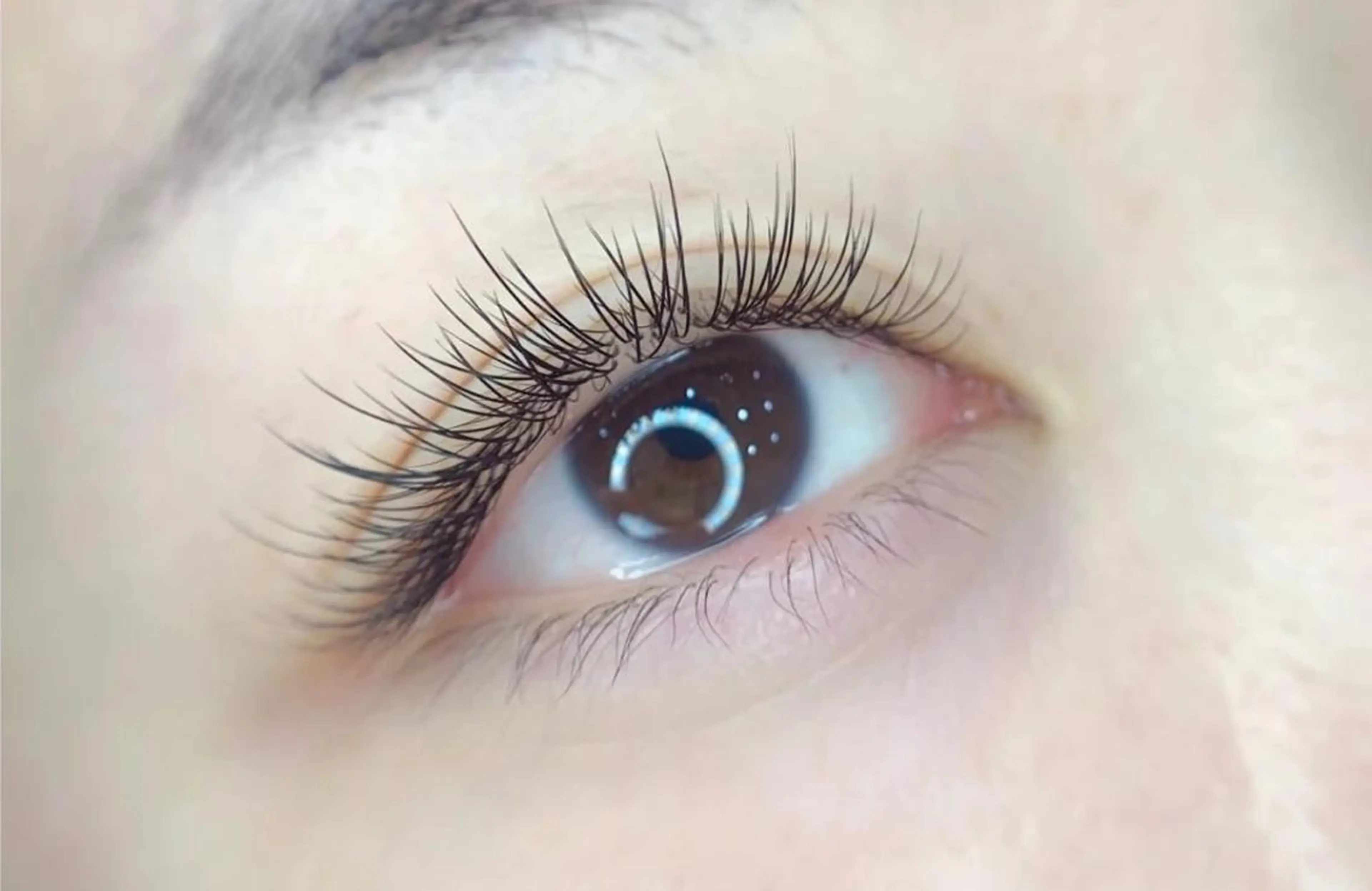 100本♪大人気のプレミアムミンクラッシュ通常￥4980→￥3980初回オフ無料の写真