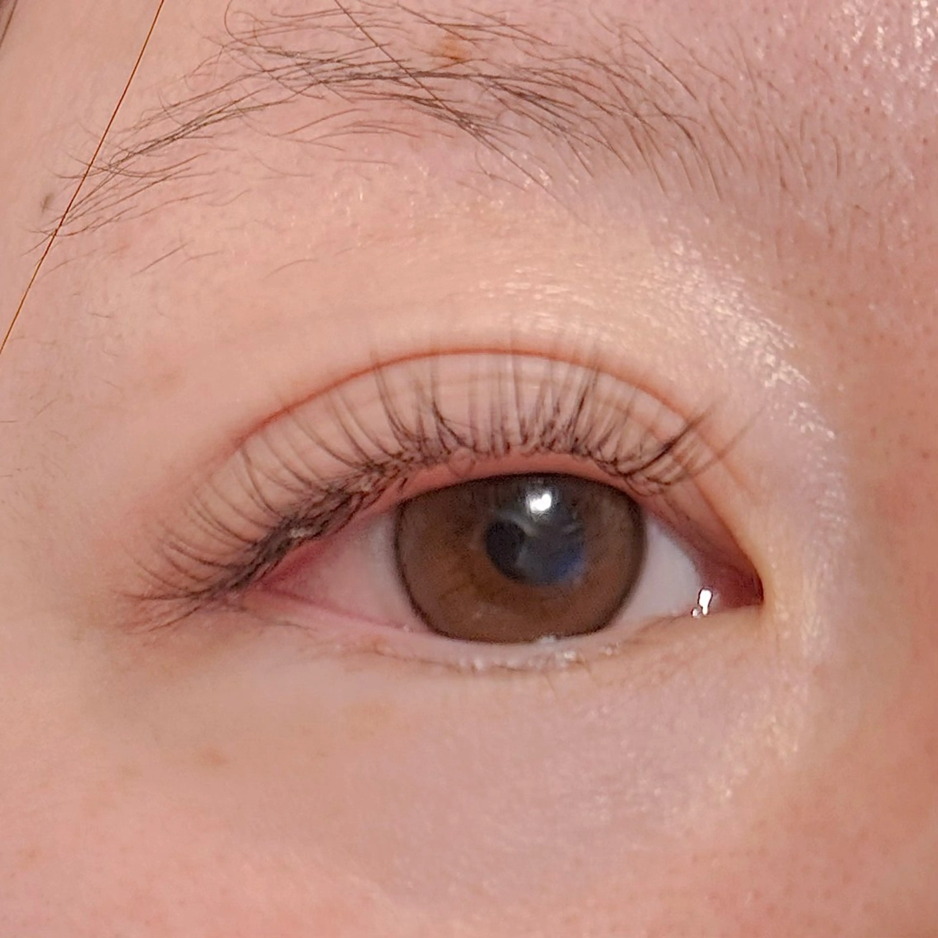 マツエク・マツパ キュート マツエク U eのマツエク・マツパデザイン