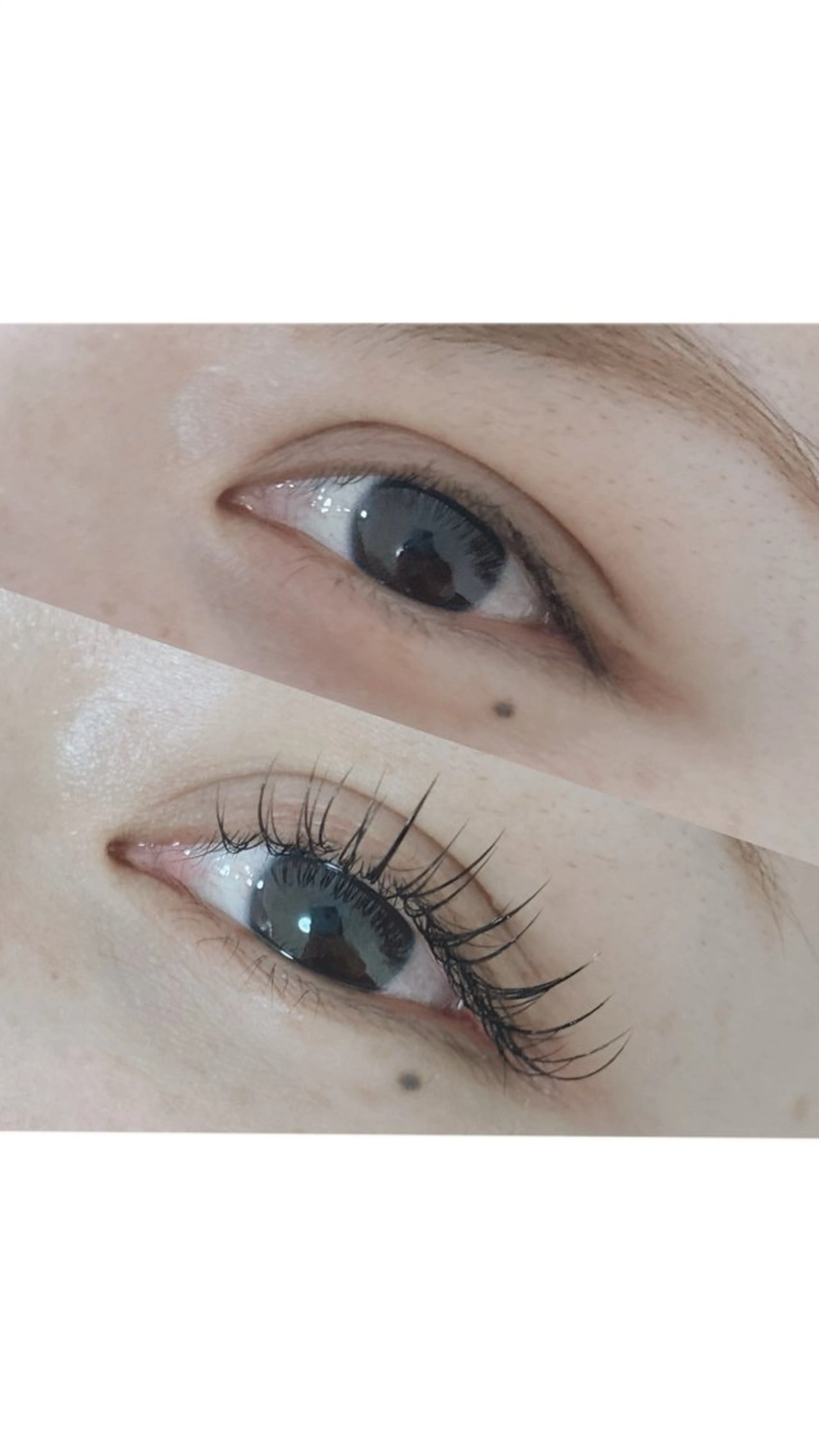 マツエク・マツパ Vibliss所属・江洲 Vibliss ｳﾞｨﾌﾞﾘｽのマツエク・マツパデザイン