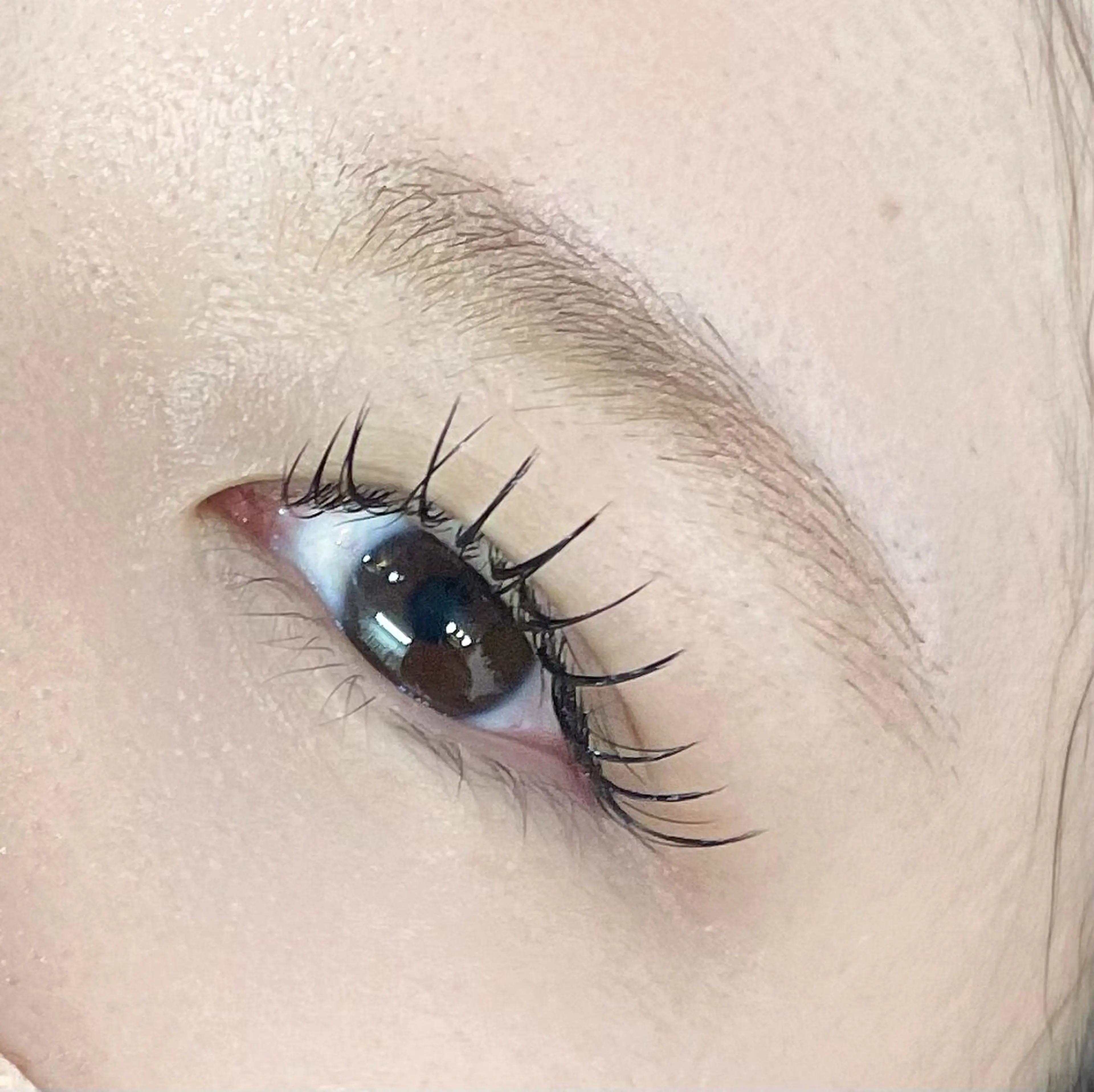 マツエク・マツパ EYELA(アイラ)柏店所属・👑EYELA 柏／ 川村👑のマツエク・マツパデザイン