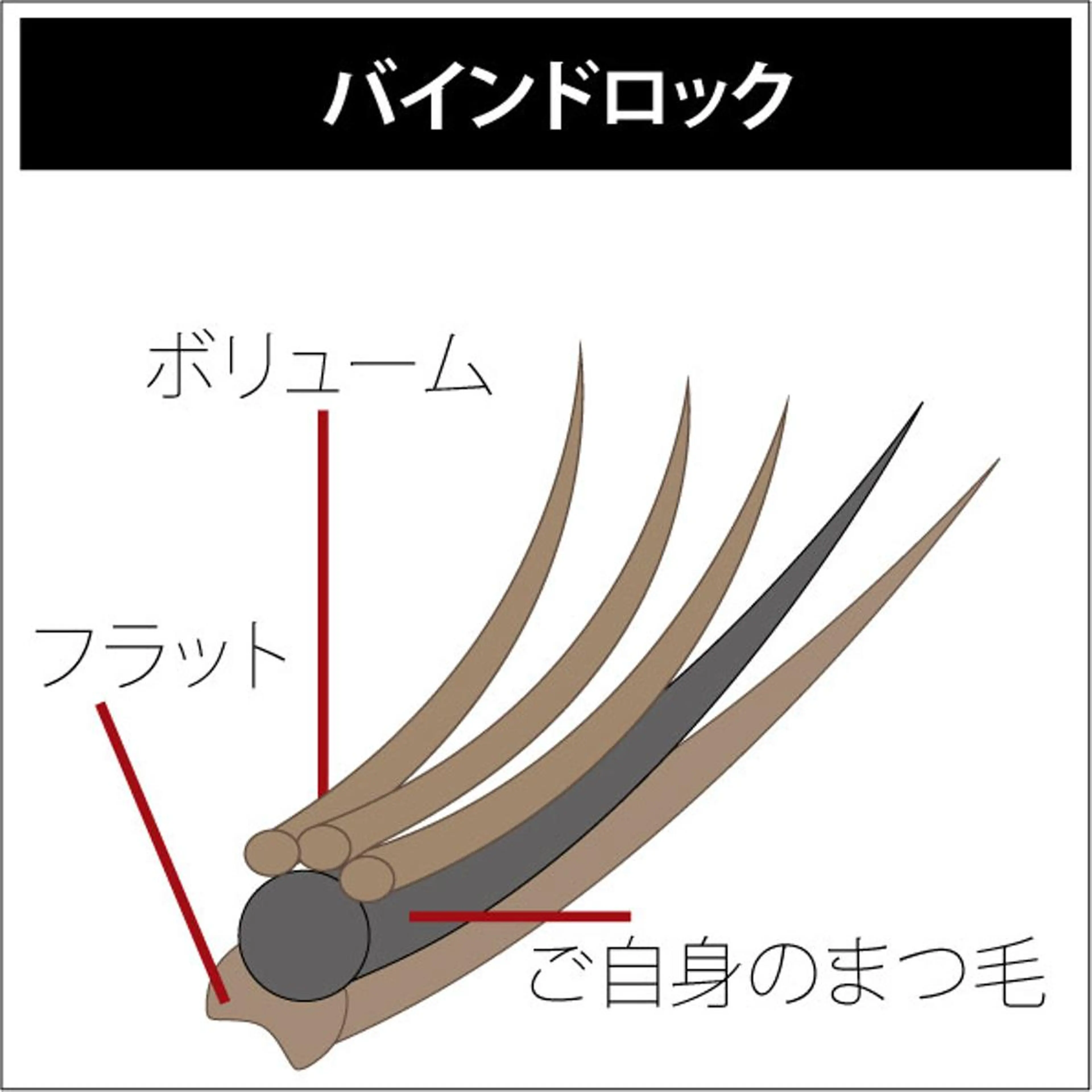 マツエク・マツパ Masami ・Iのマツエク・マツパデザイン