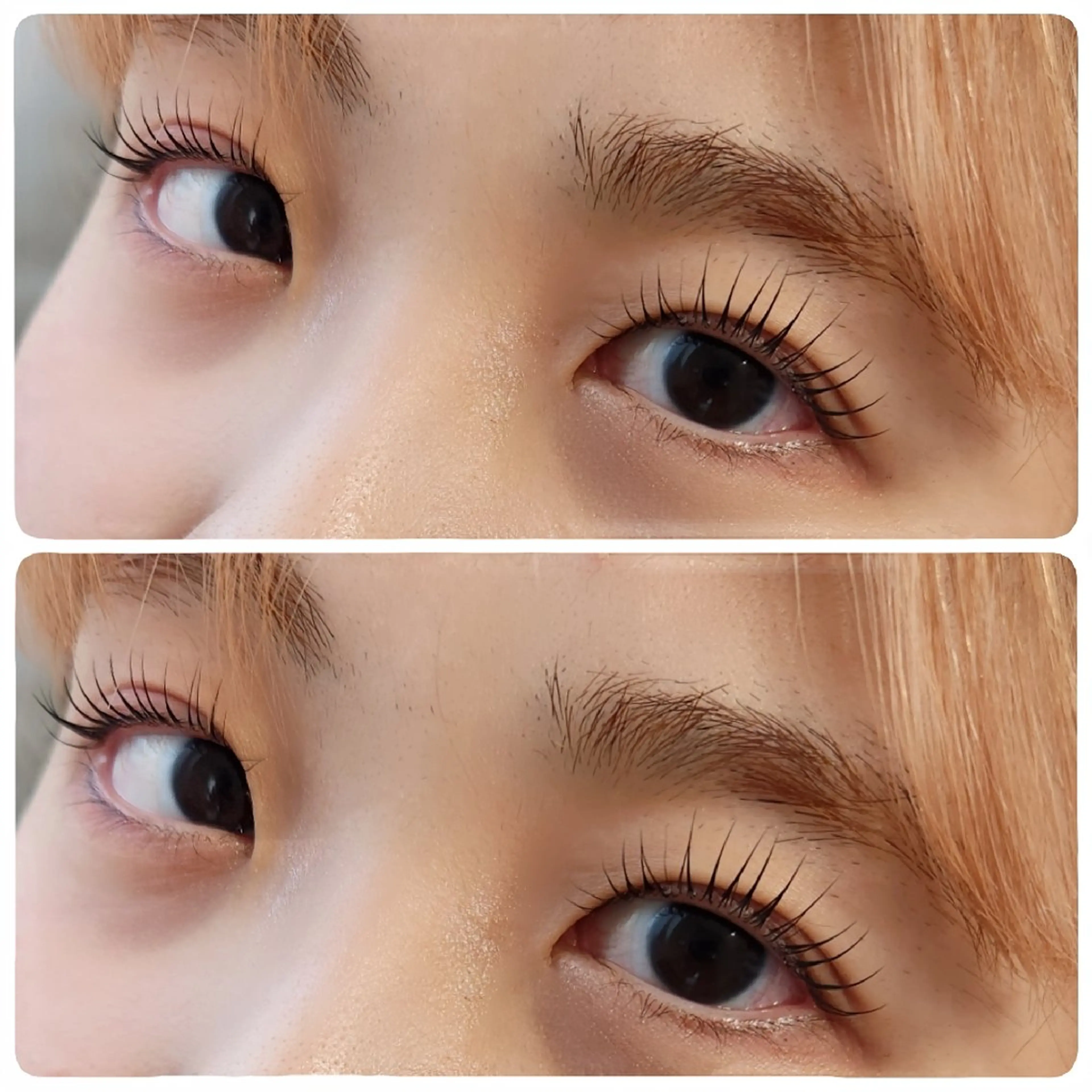 マツエク・マツパ 一重×まつ毛パーマ マツパ beautysalon ASHA所属・ASHA ikumiのマツエク・マツパデザイン