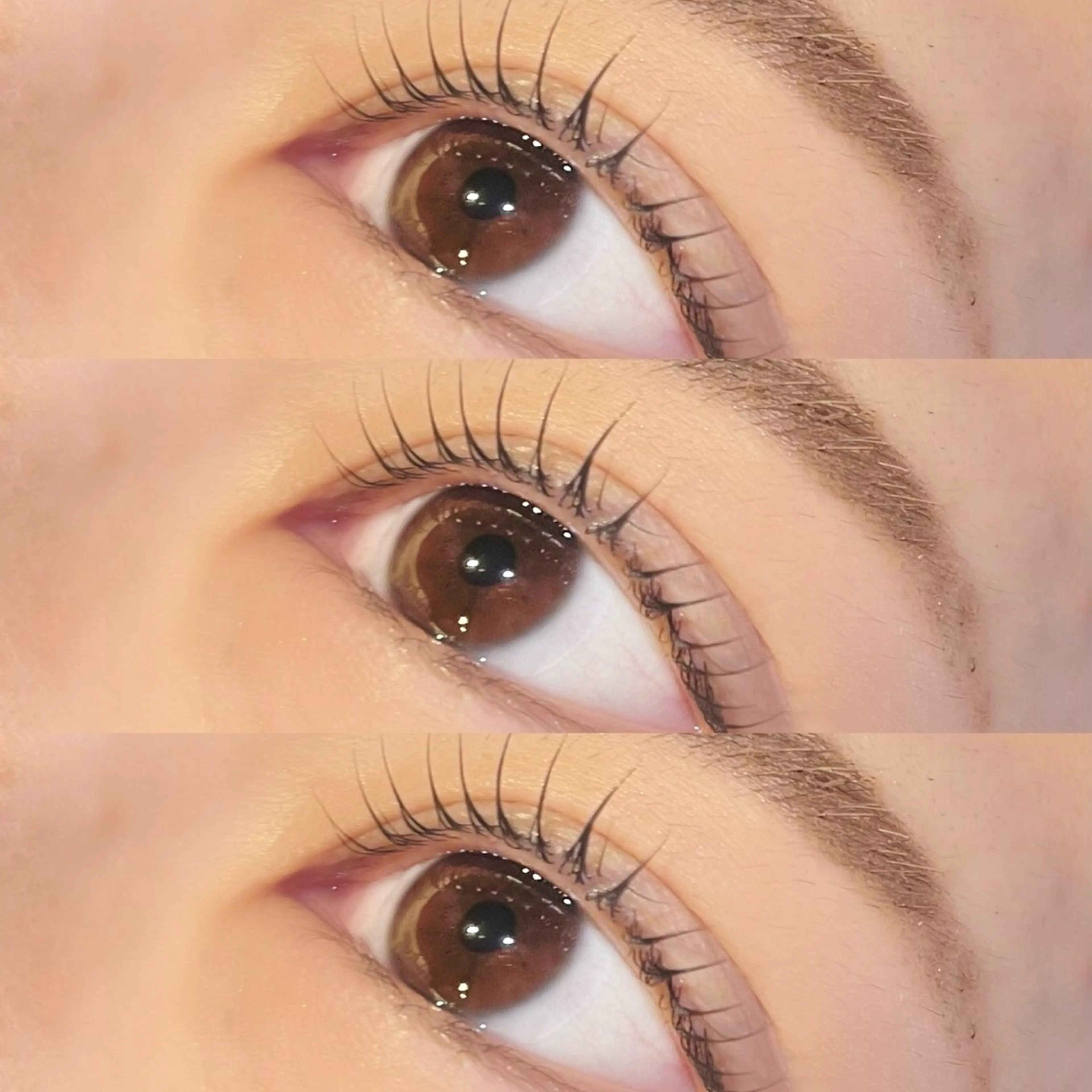 マツエク・マツパ マツパ Rena 泉中央のマツエク・マツパデザイン