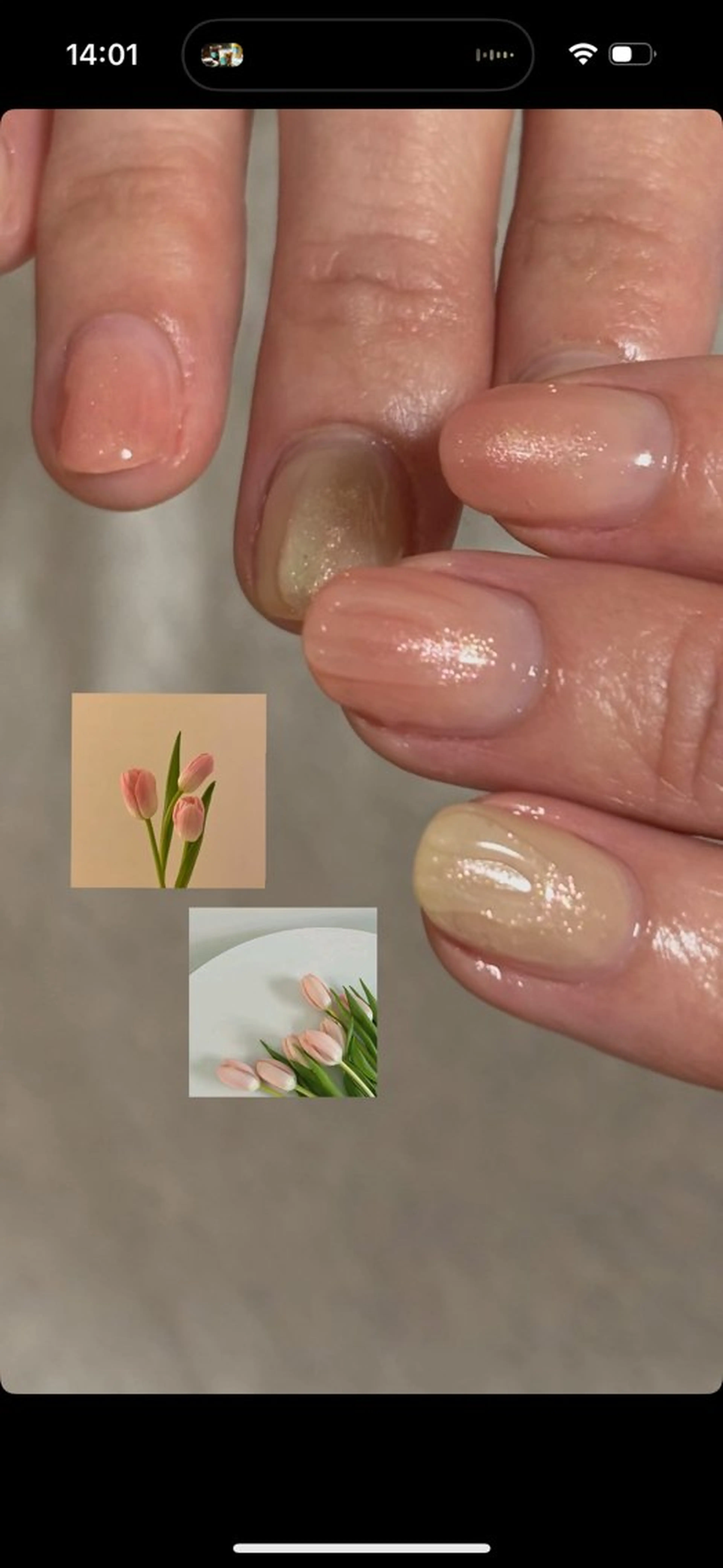 ネイル ピンク 春ネイル kotone / toneのネイルデザイン