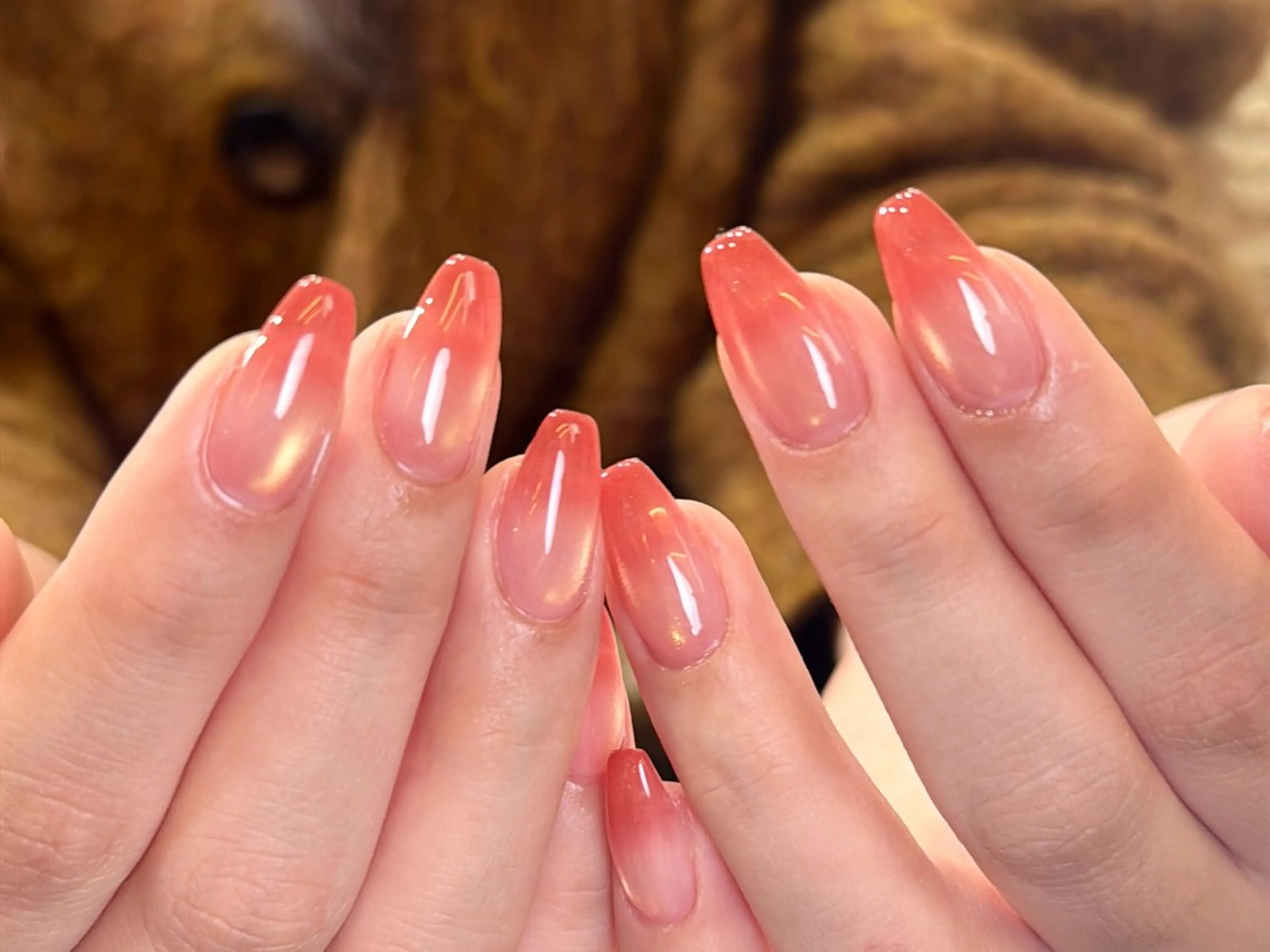 ネイル フレンチネイル ニュアンスネイル オフィスネイル シンプルネイル 春ネイル ハンドネイル NutNut 原宿/北参道【ナットナット】所属・清水 夏澪のネイルデザイン