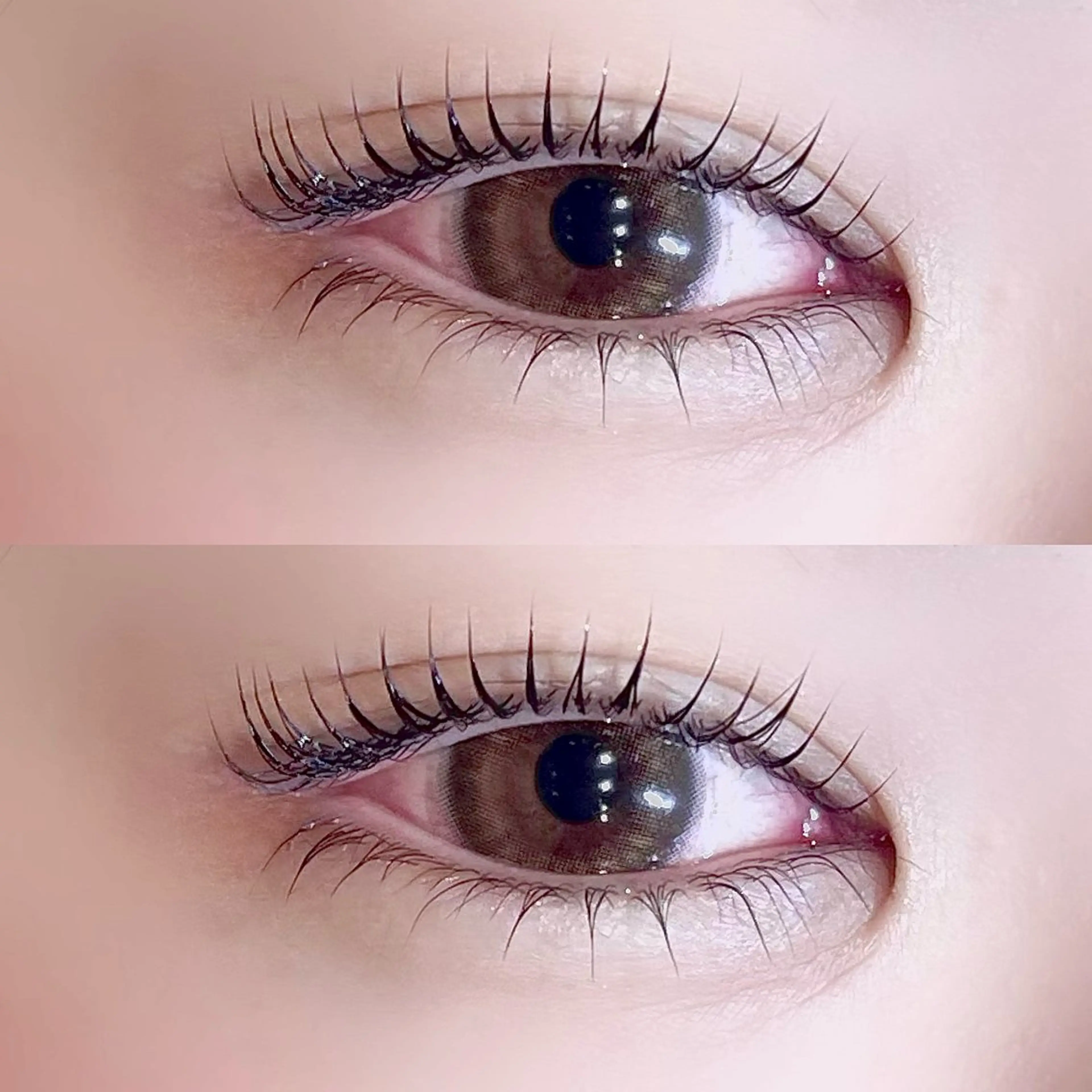【minimo特別価格🐄♡】 上下まつげパーマ✦.*·̩͙ 美容液仕上げ付の写真