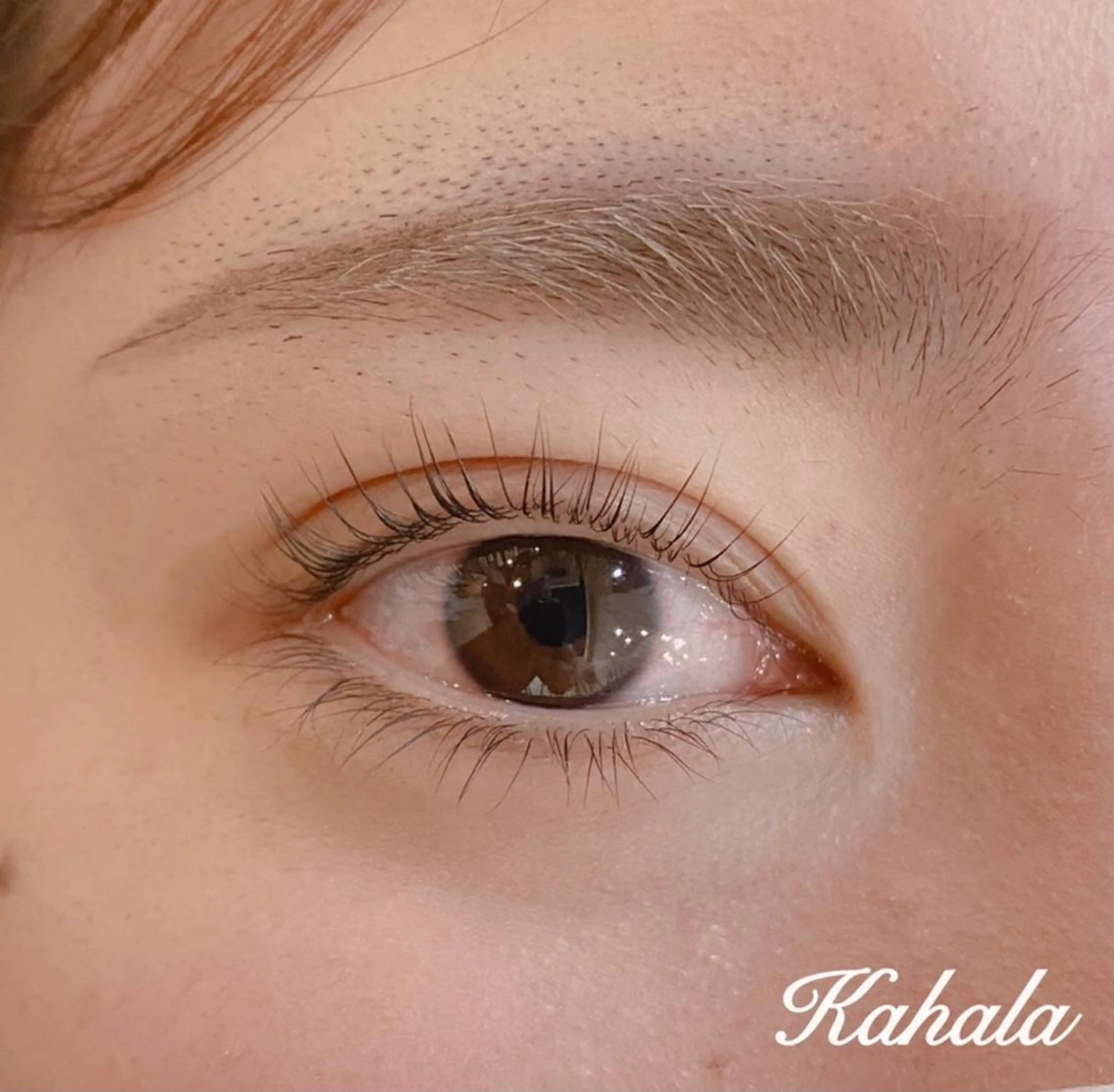 マツエク・マツパ パリジェンヌラッシュリフト アイラッシュリゾートカハラ　国分寺所属・Saki yのマツエク・マツパデザイン