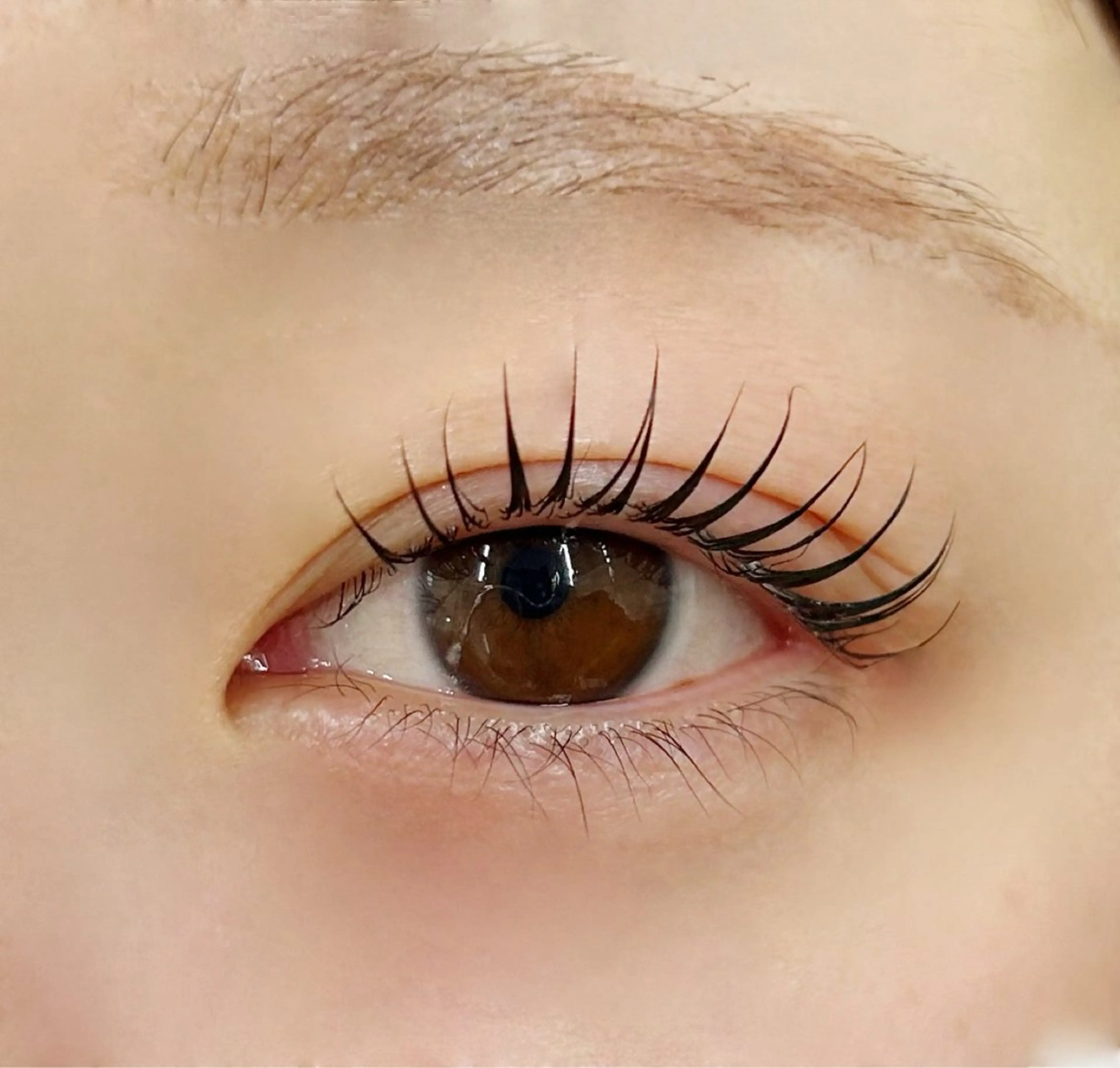 マツエク・マツパ まつげパーマ 一重×まつ毛パーマ サクラブロウ博多 吉田のマツエク・マツパデザイン