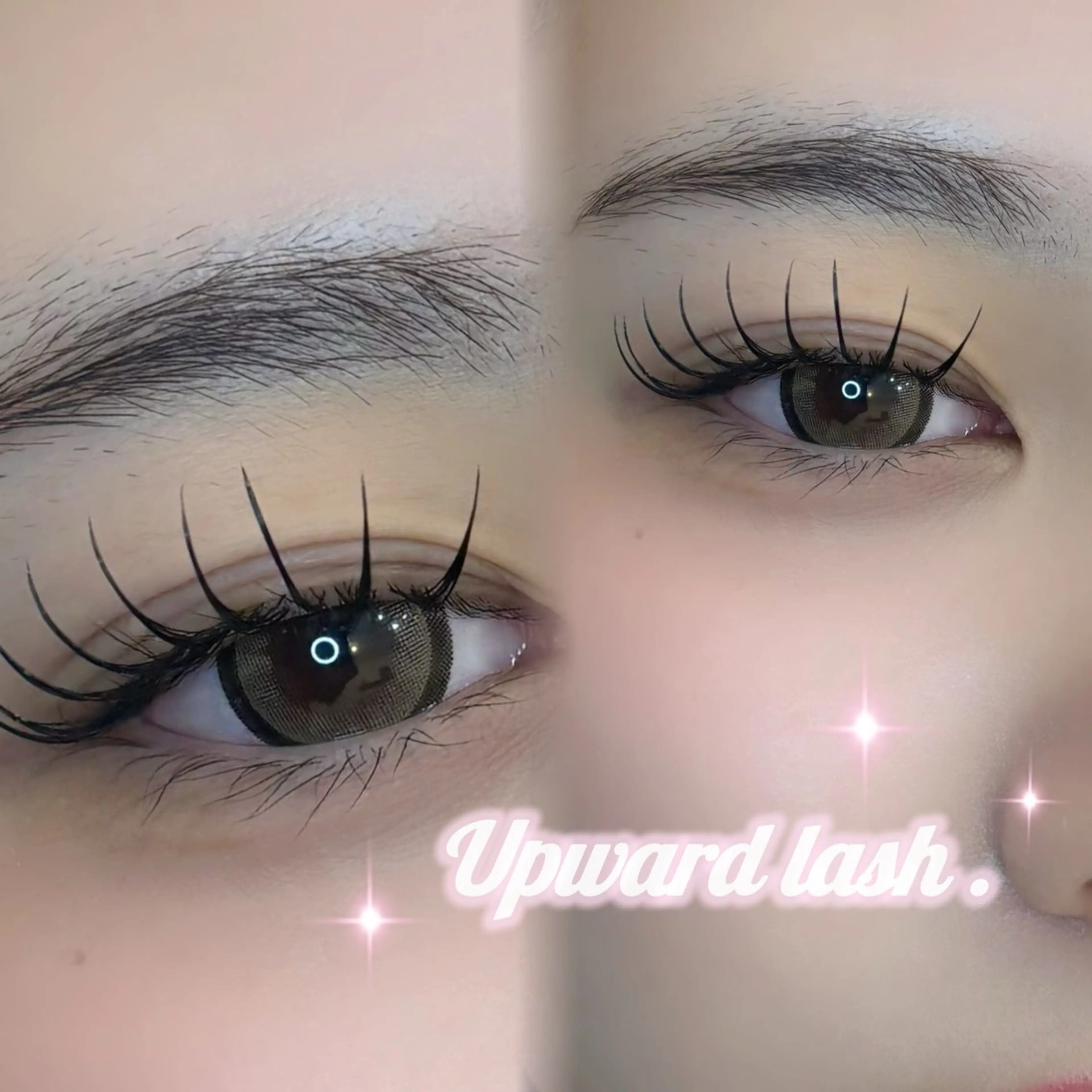 🚨緊急価格🚨1/19限定🎀アップワードラッシュ120本🎀の写真