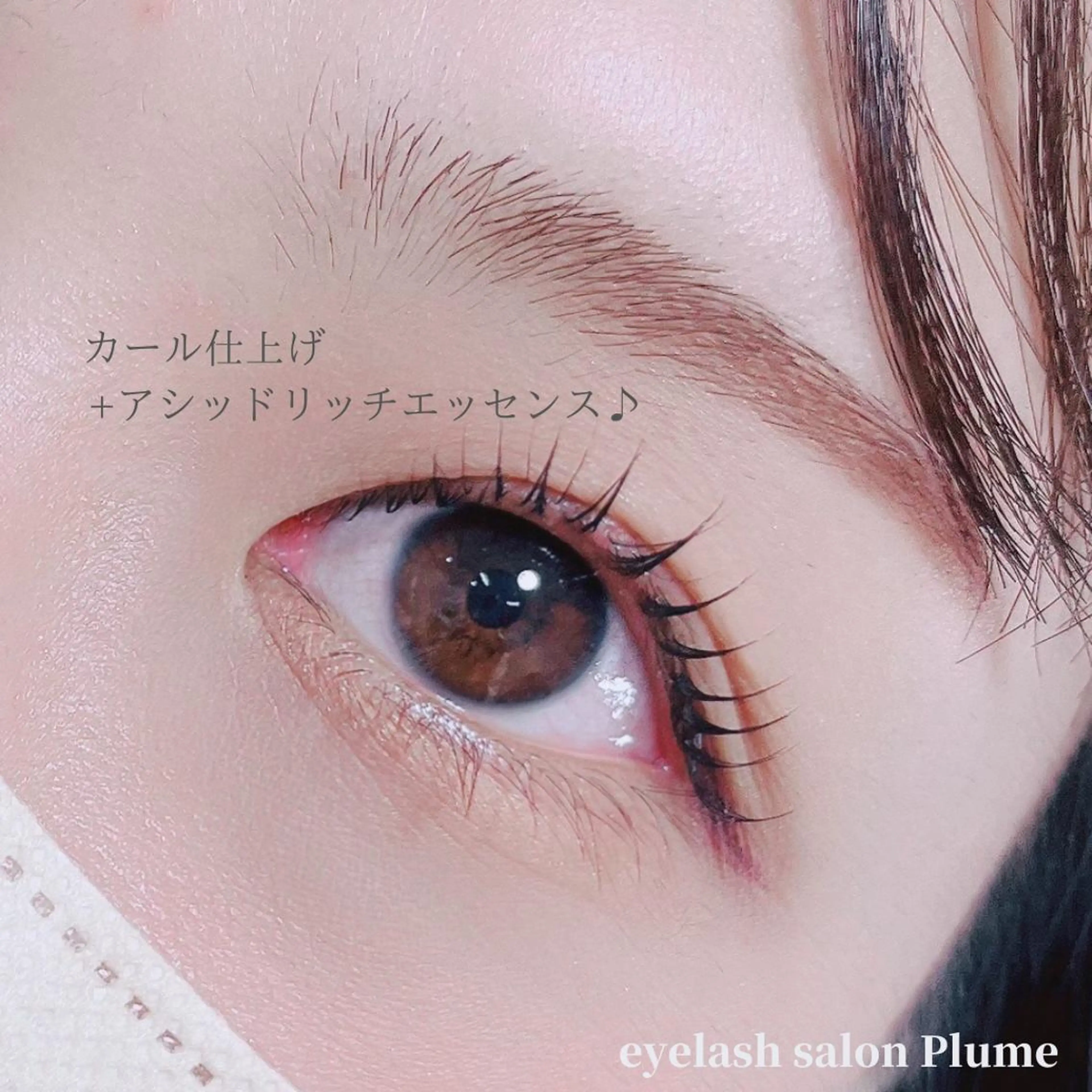 マツエク・マツパ マツパ まつ毛、毛穴ケア 専門サロンPlumeのマツエク・マツパデザイン