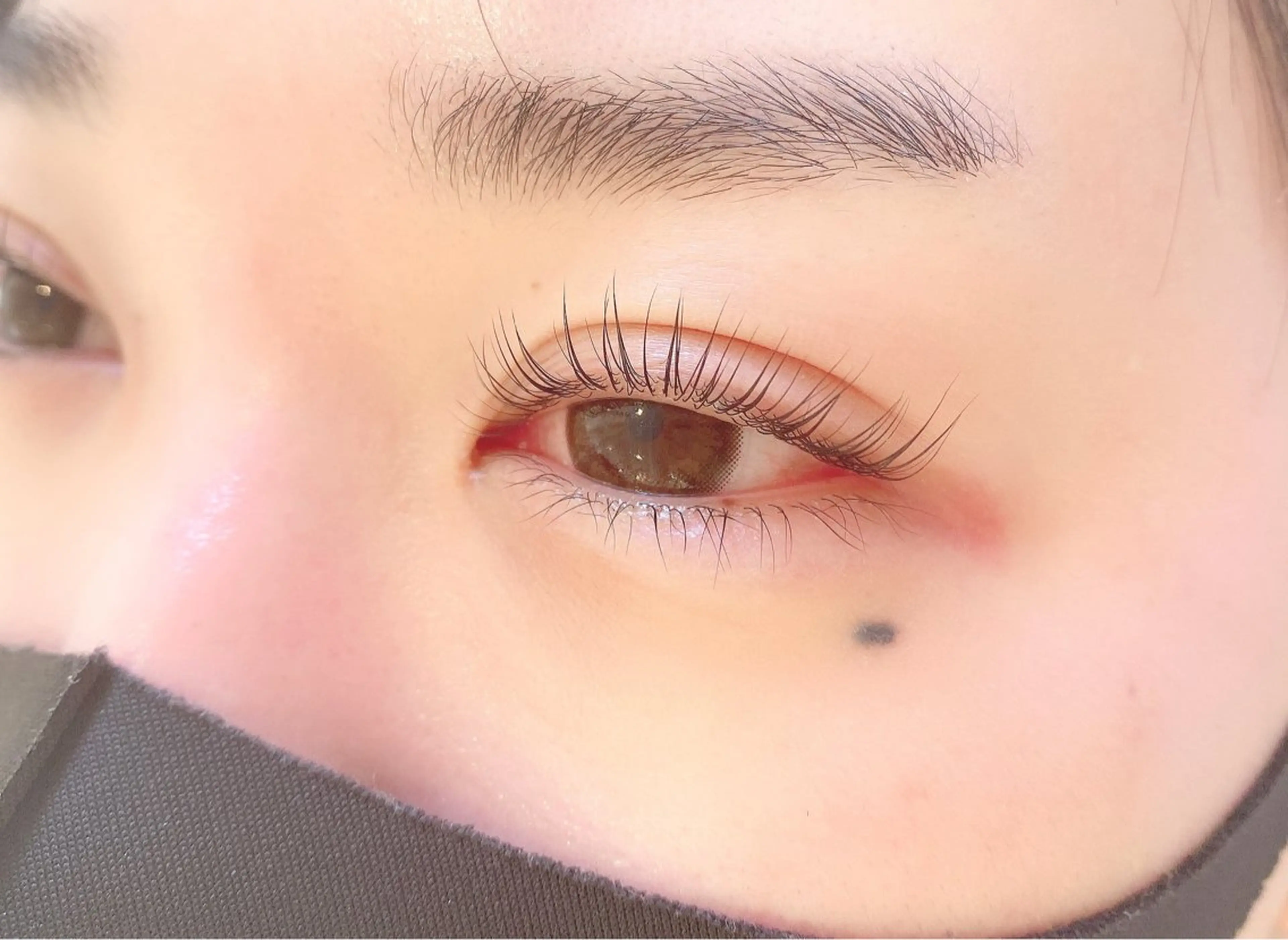 当日予約限定  ̖́-まつげパーマ¥4000の写真