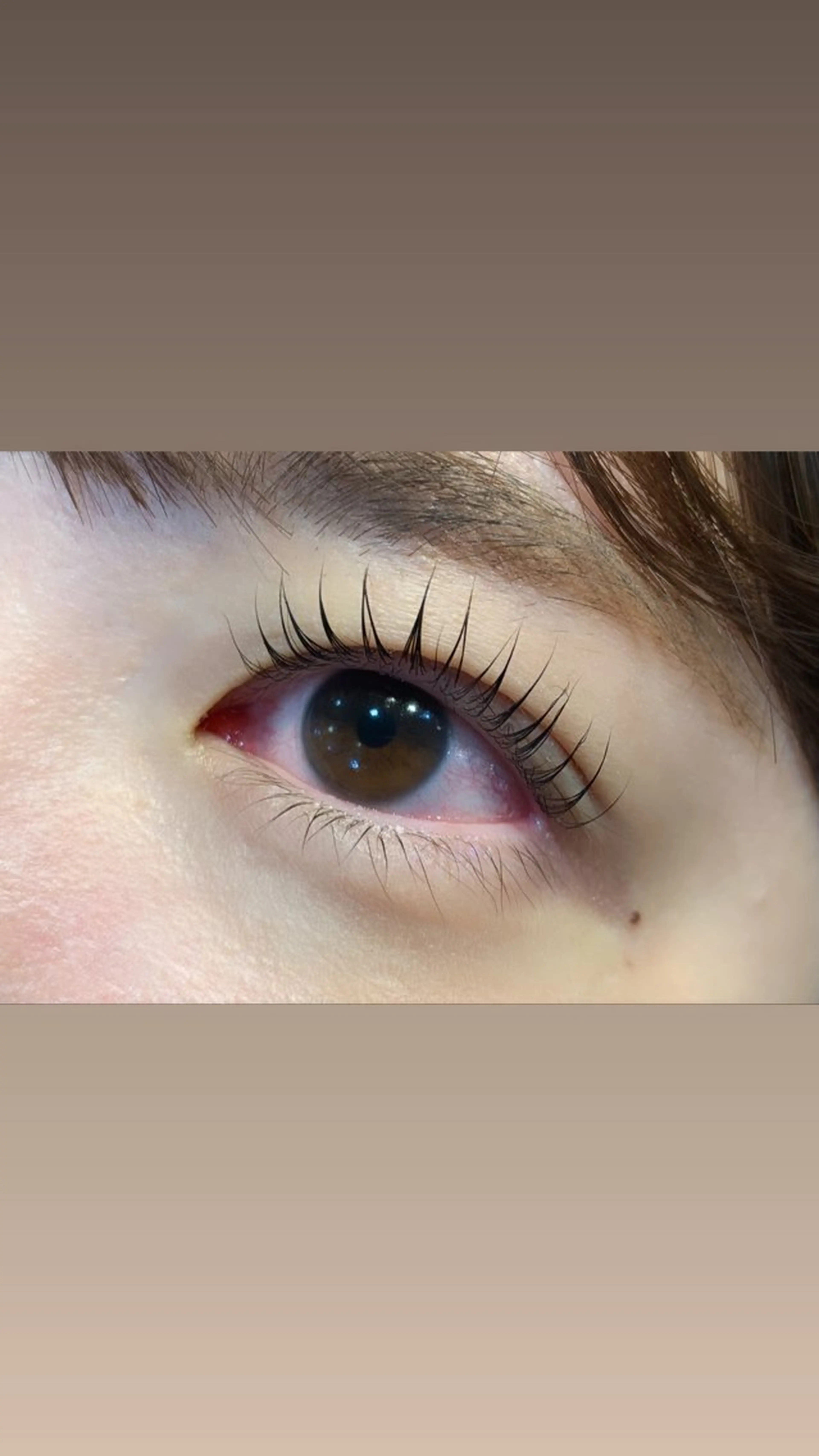 マツエク・マツパ パリジェンヌラッシュリフト hirakawa makoの眉毛・アイブロウイメージ