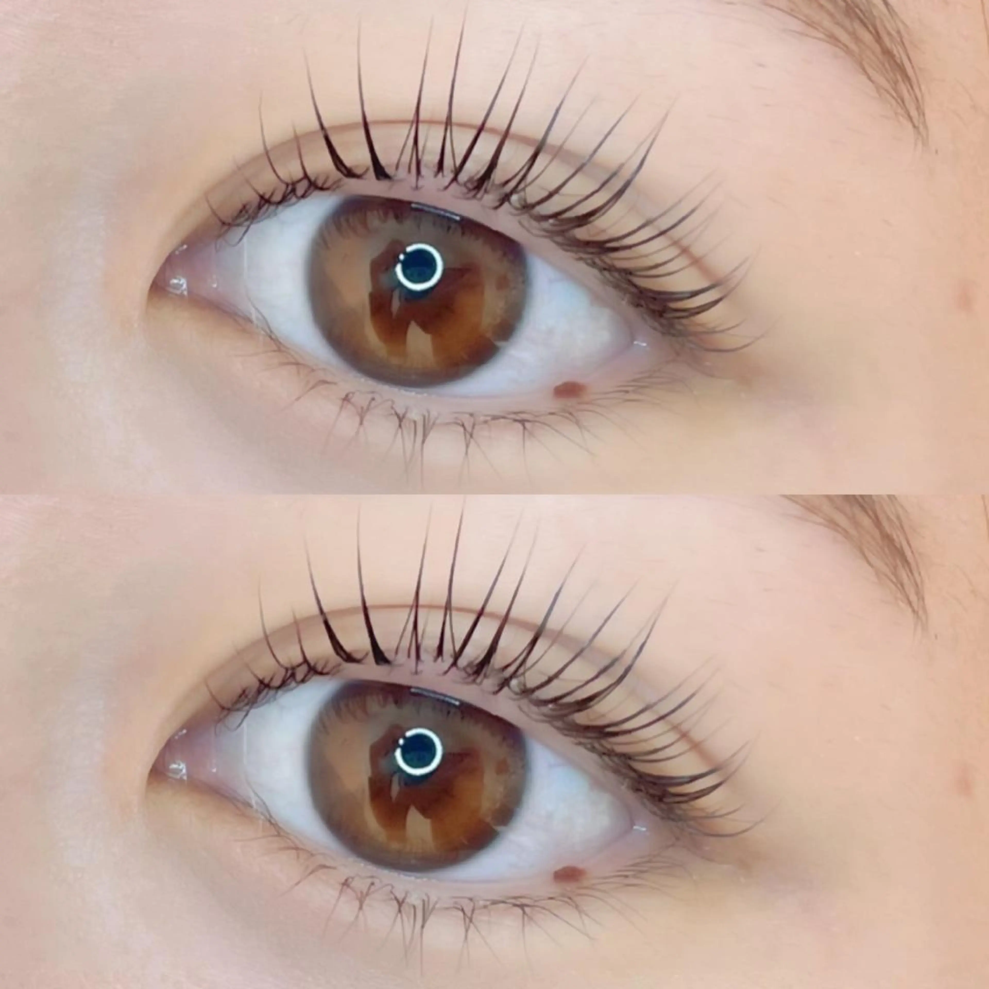 【次世代まつ毛パーマ】パリジェンヌラッシュリフト👀※3回迄　保湿コーティング付き💗※再来のパーマ(ロッド選択可)の写真