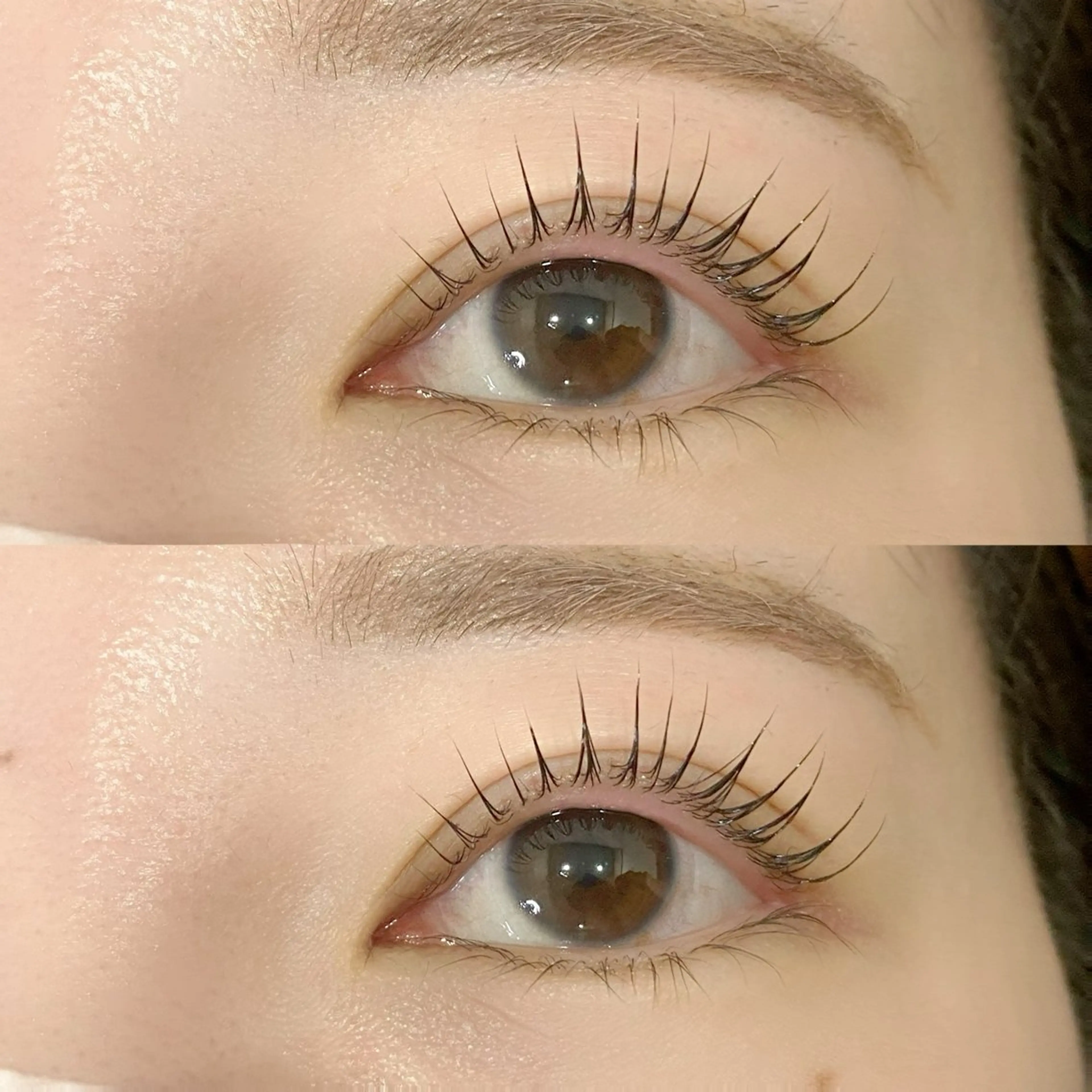 ラッシュリフトorパリジェンヌラッシュリフト🐰　￥4200の写真