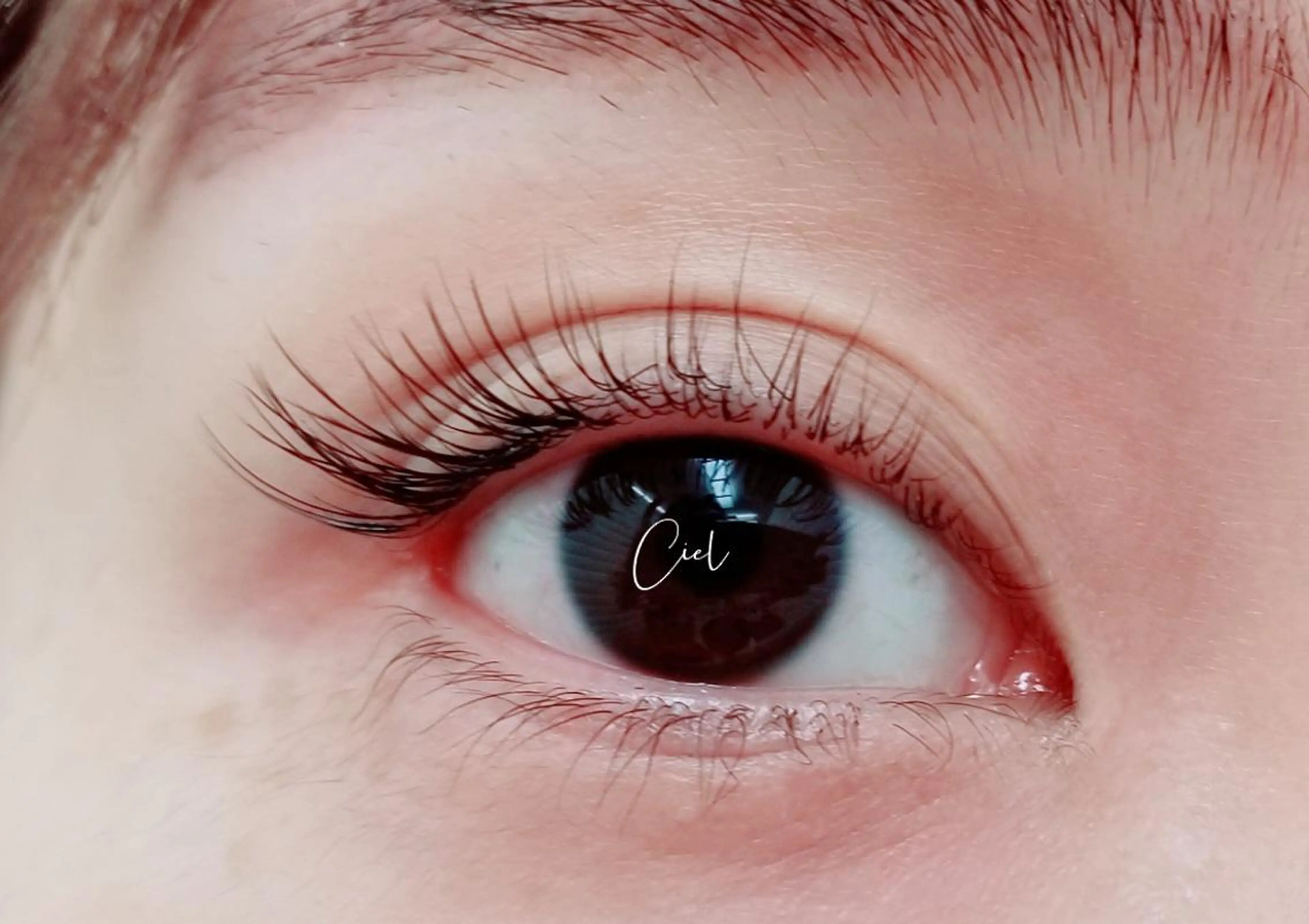 マツエク・マツパ eyelash salonCielのマツエク・マツパデザイン