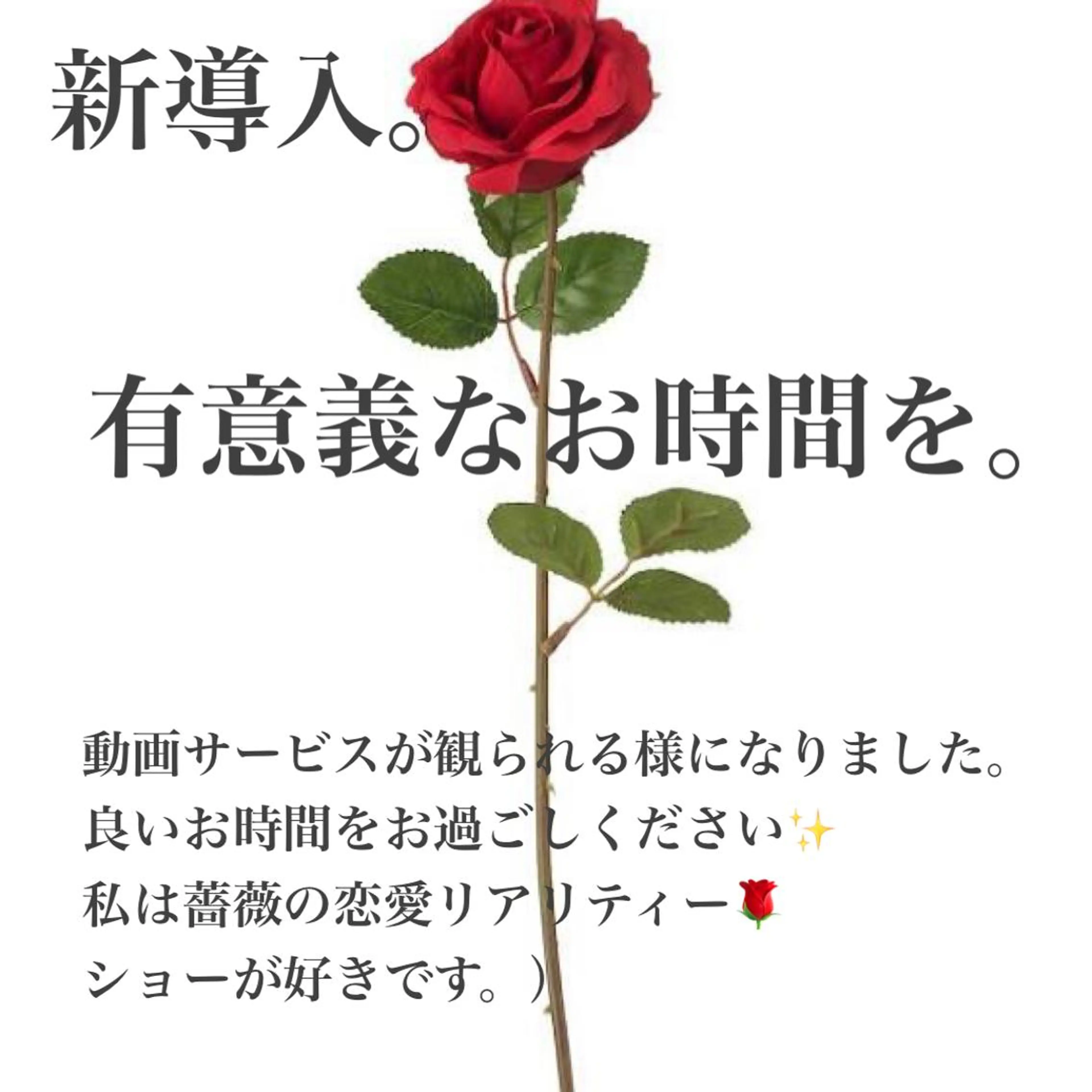 ネイル ネイルサロン翼所属・ネイルサロン 翼【仙川4分】のネイルデザイン