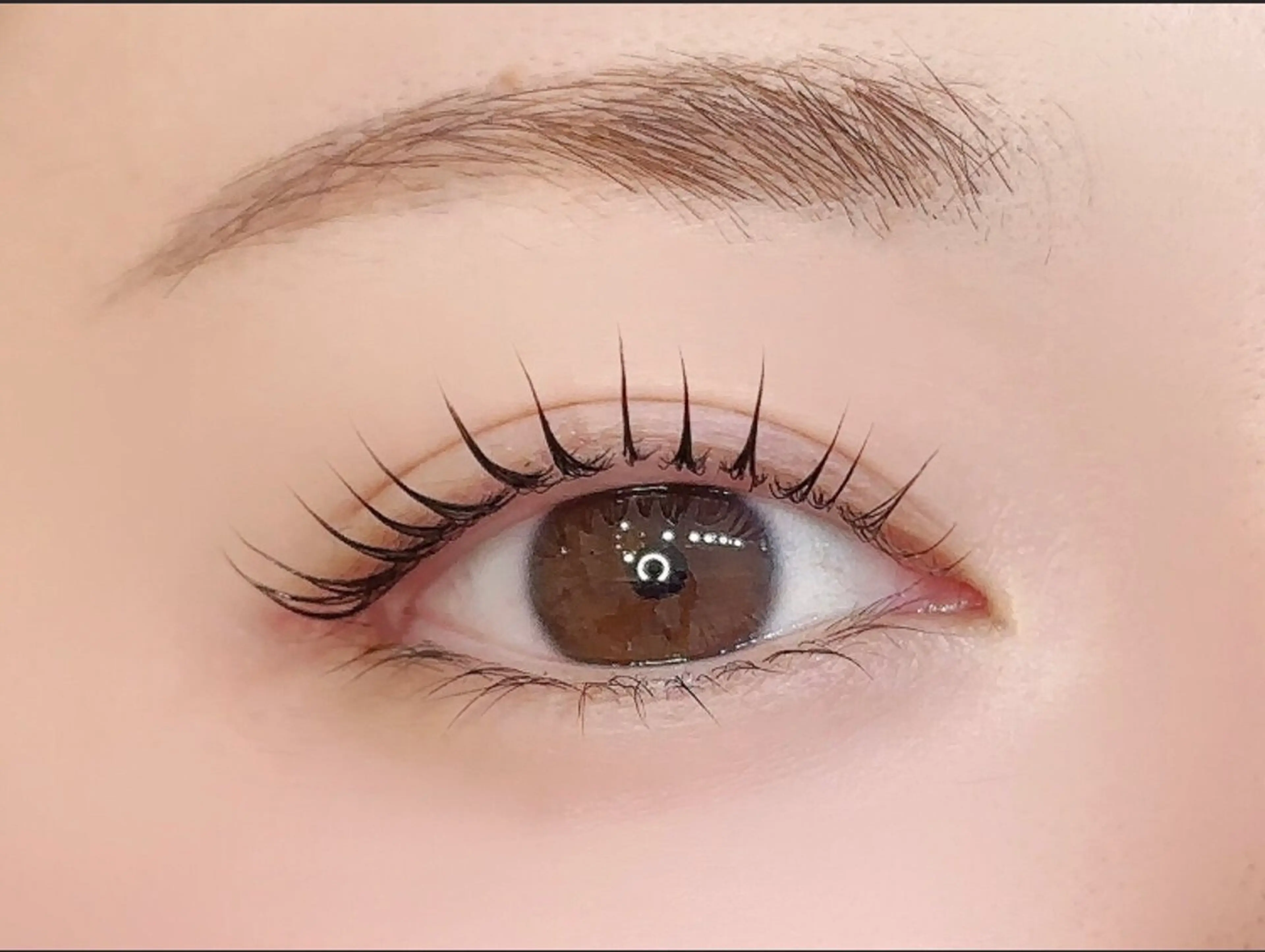 マツエク・マツパ マツパ アレグレス所属・アレグレス@池袋 🌹大人気店🌹のマツエク・マツパデザイン