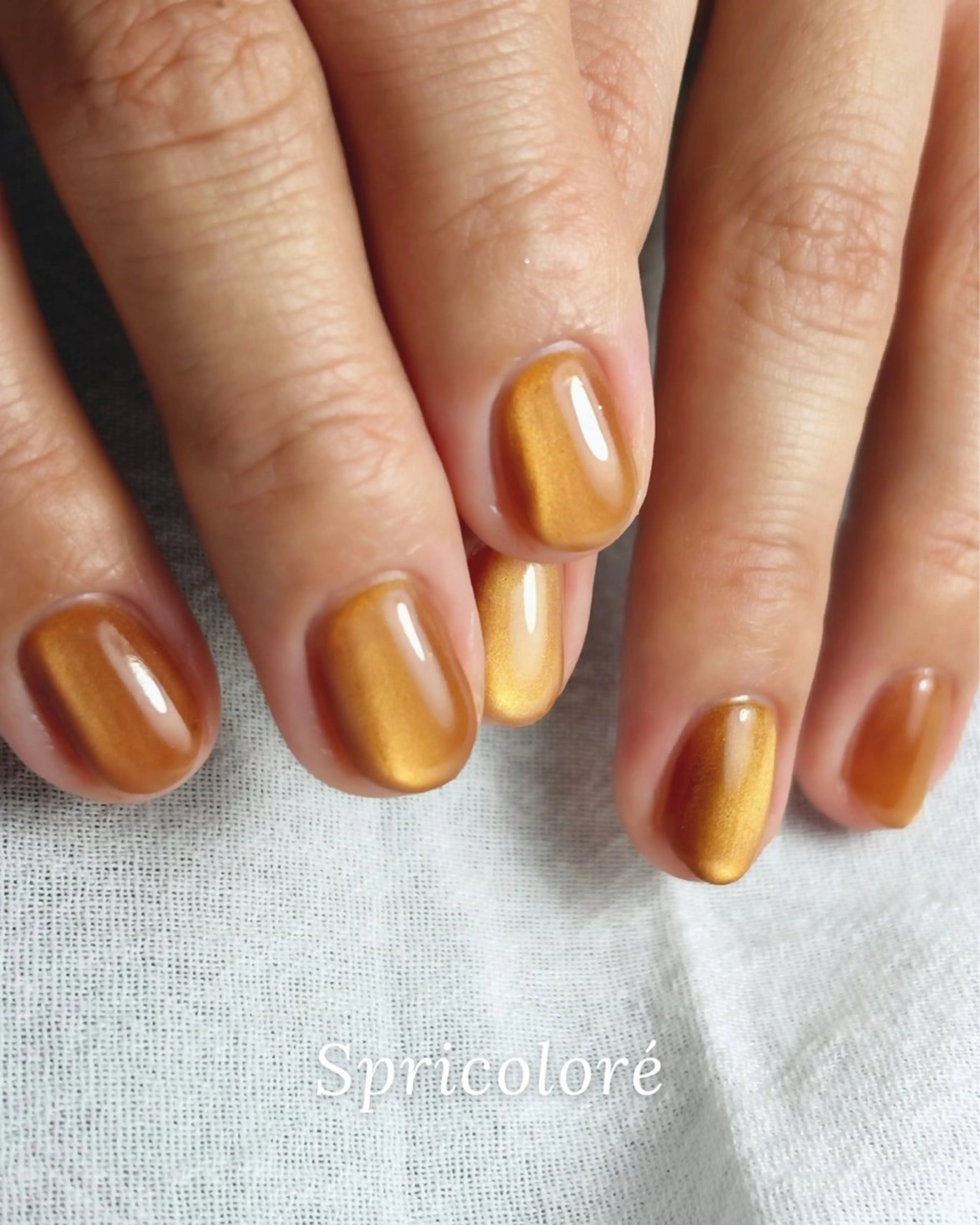 ネイル マグネットネイル シンプルネイル Spricoloré(スプリコローレ)所属・Spricoloré ／harunaのネイルデザイン