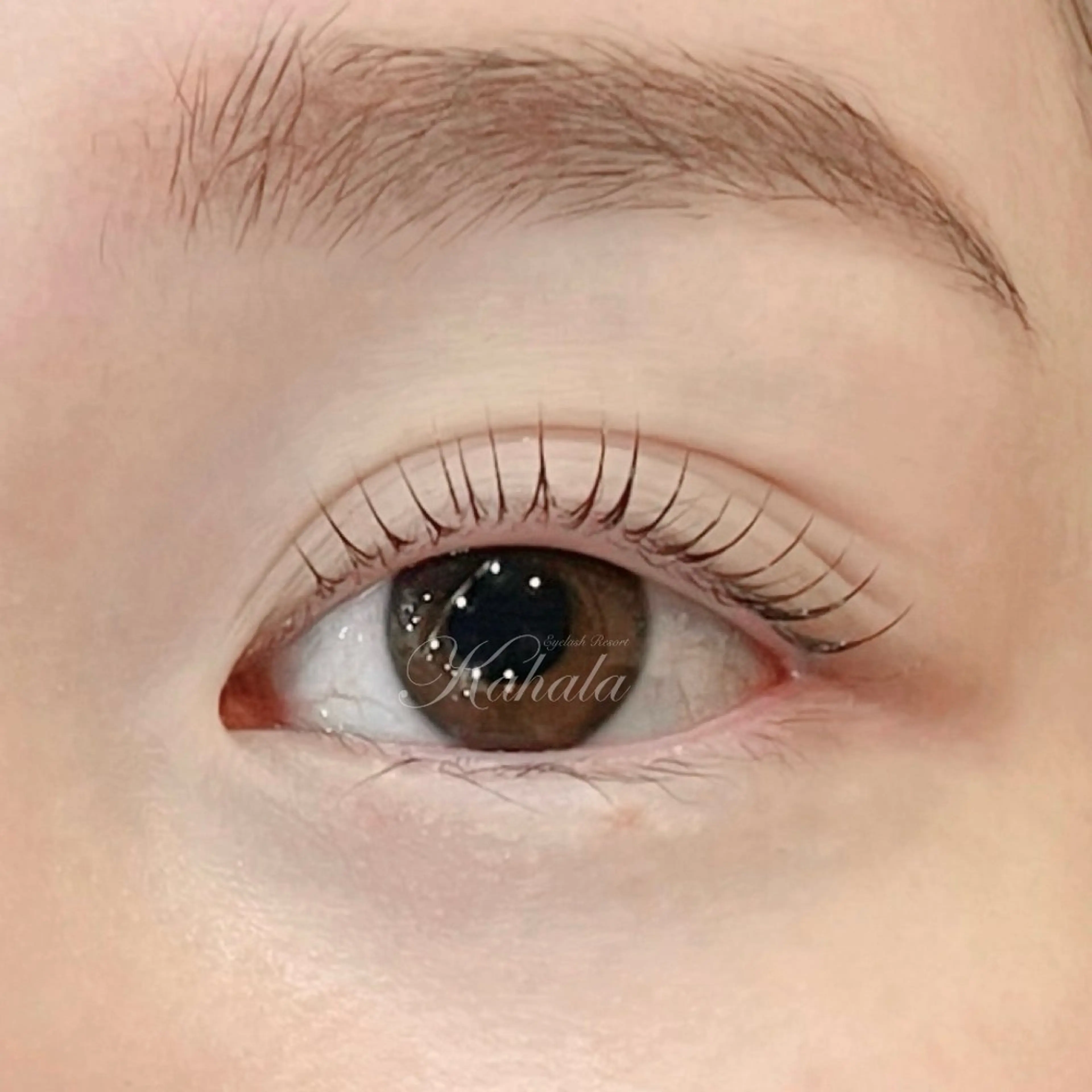 マツエク・マツパ アイラッシュリゾートカハラ新宿本店所属・Kahala KOMADAのマツエク・マツパデザイン